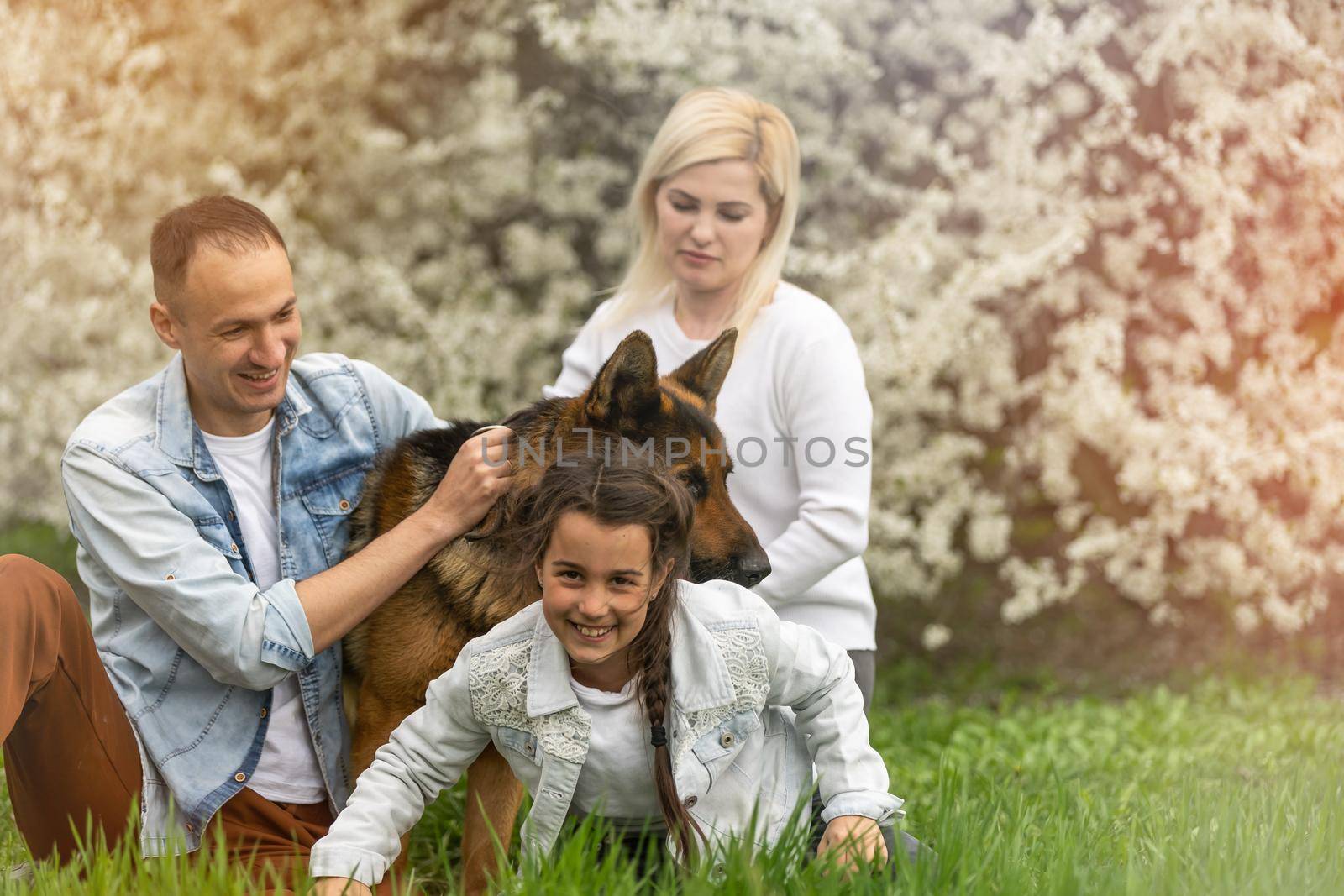 Family with small child and dog outdoors in orchard in spring