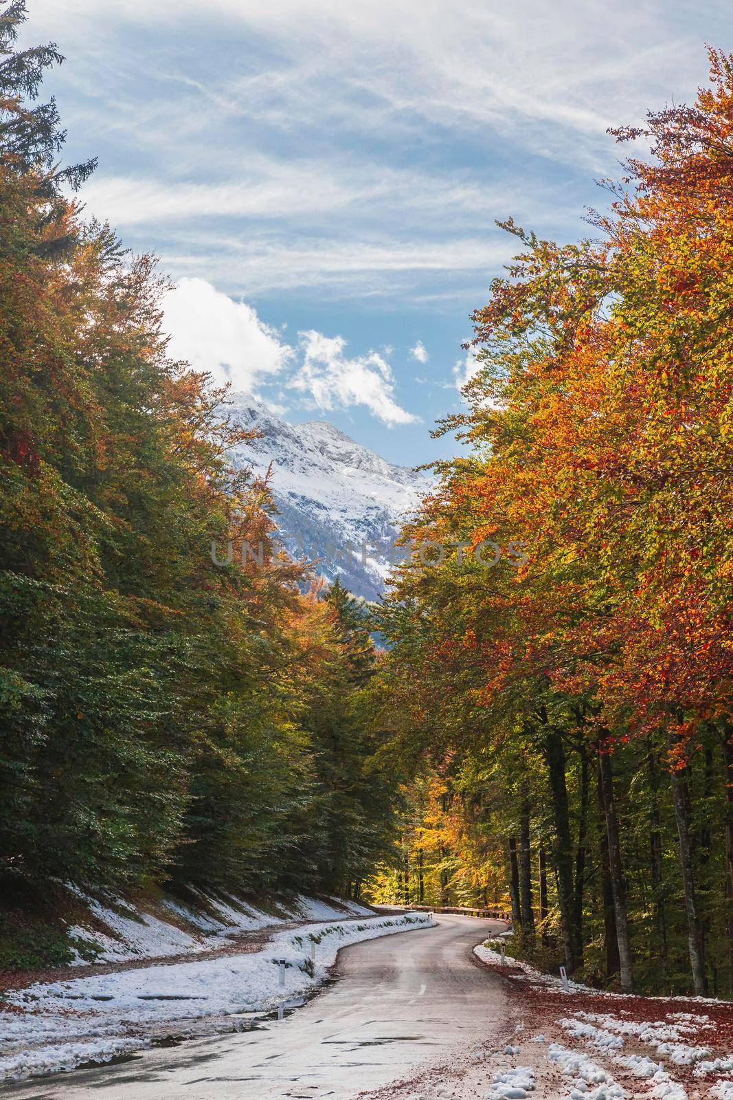 The road in the autumn forest in Slovenia. Julian Alps covered with snow.