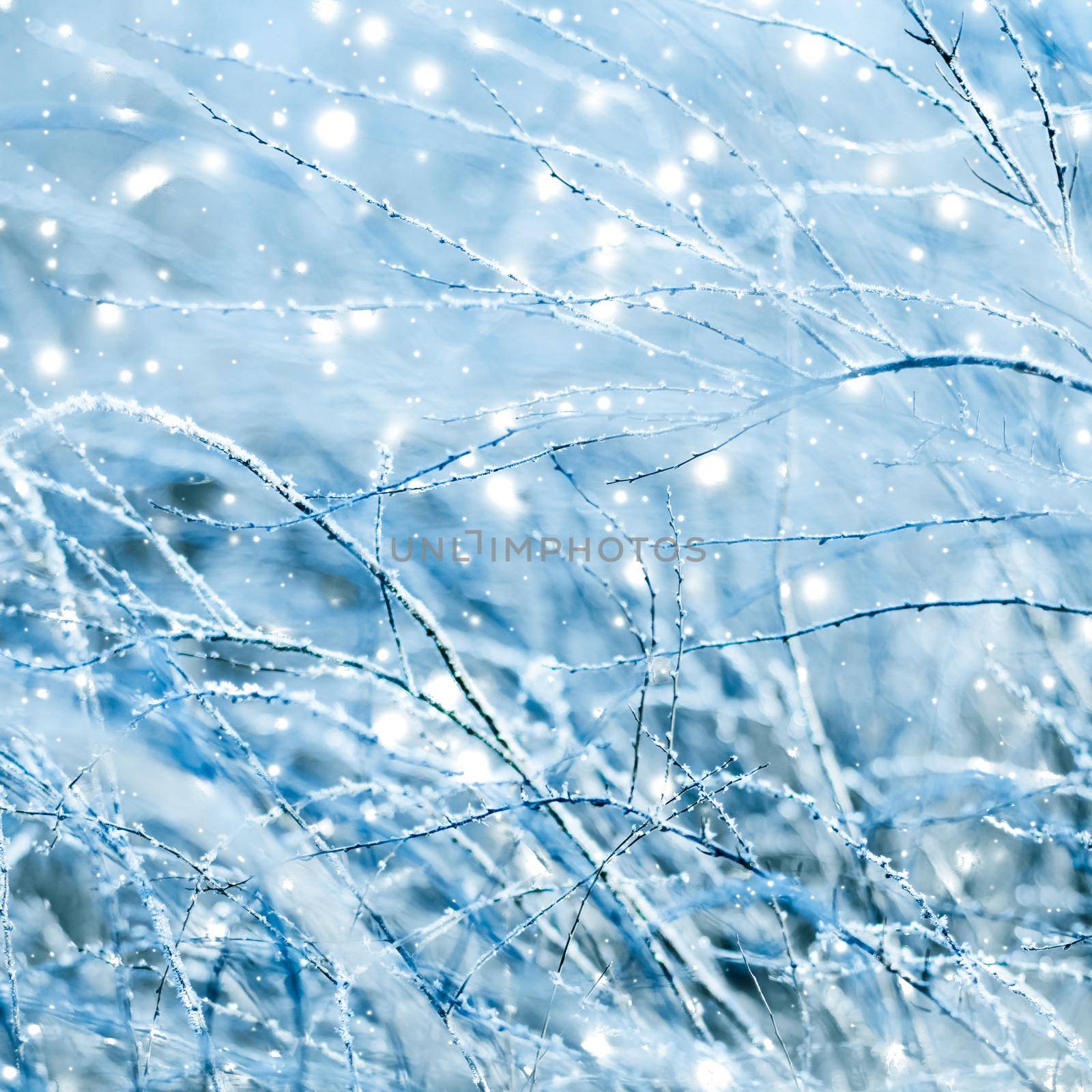 Winter holiday background, nature scenery with shiny snow and cold weather in Christmas time by Anneleven