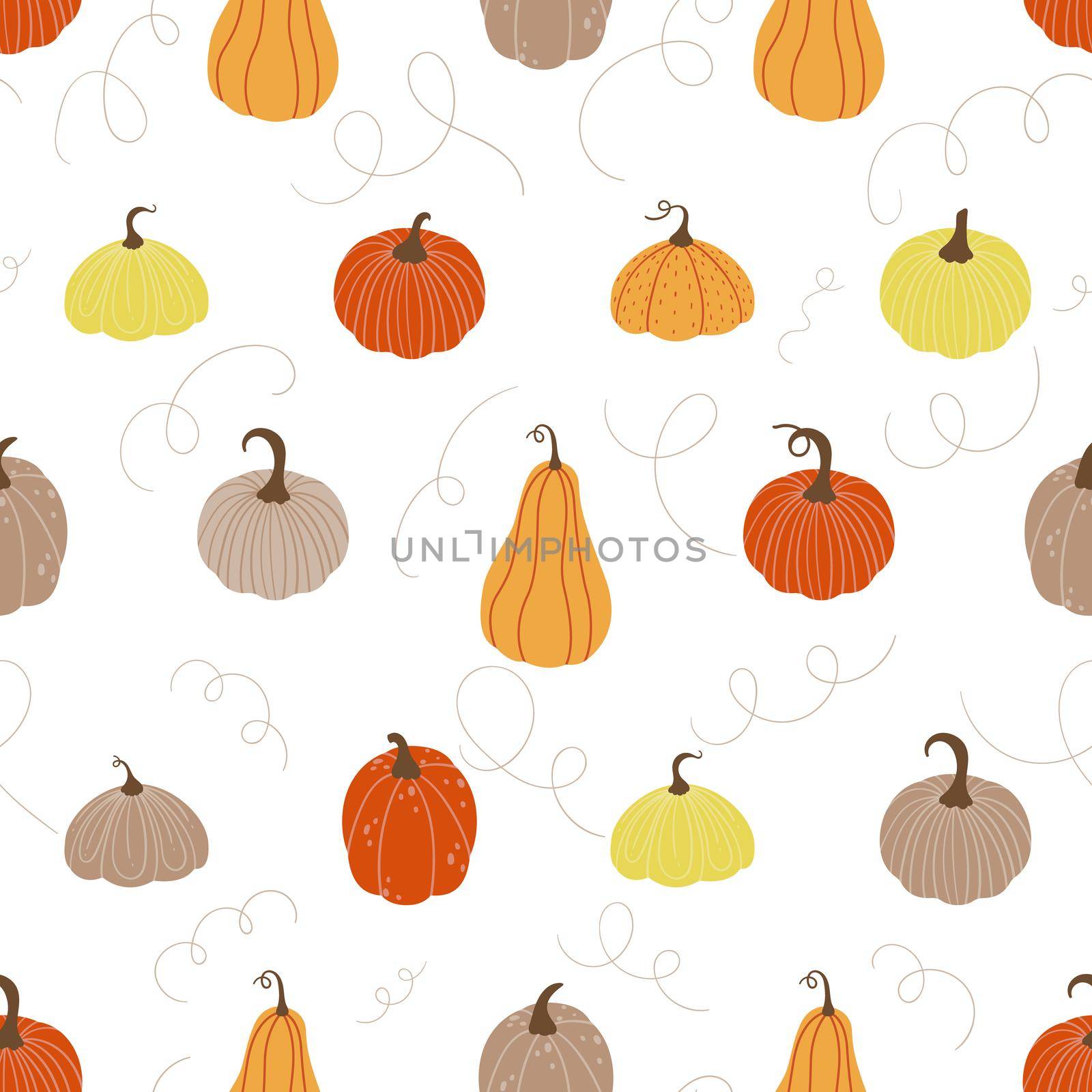 Seamless pattern. Various pumpkins in doodle style on a white background. by Lena_Khmelniuk