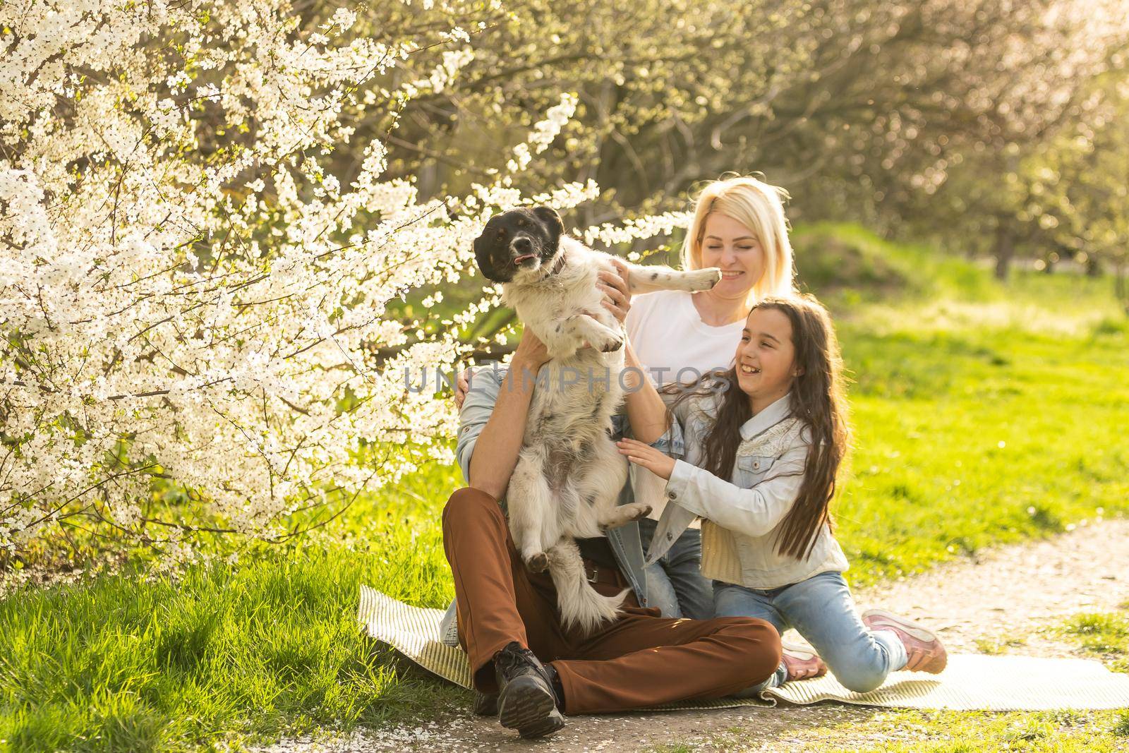 Family with daughter and dog play together in the garden in spring