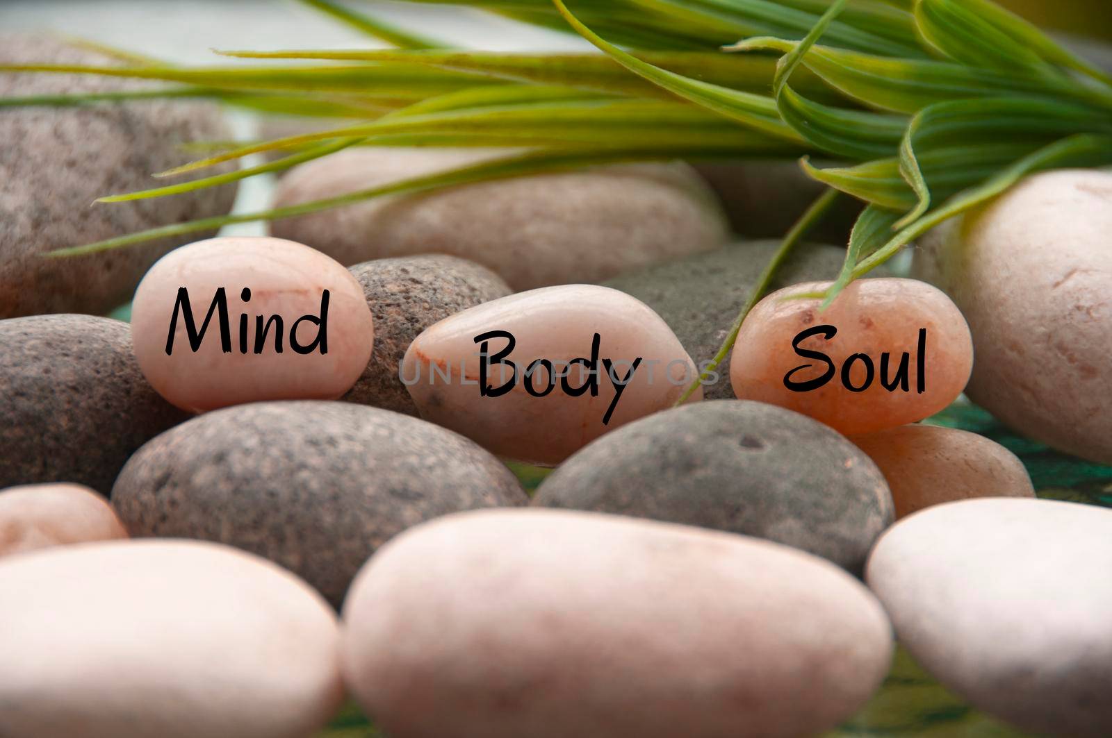 Zen stones with words Mind, Body, Soul with rocks and plant background. Customize space for text or ideas.