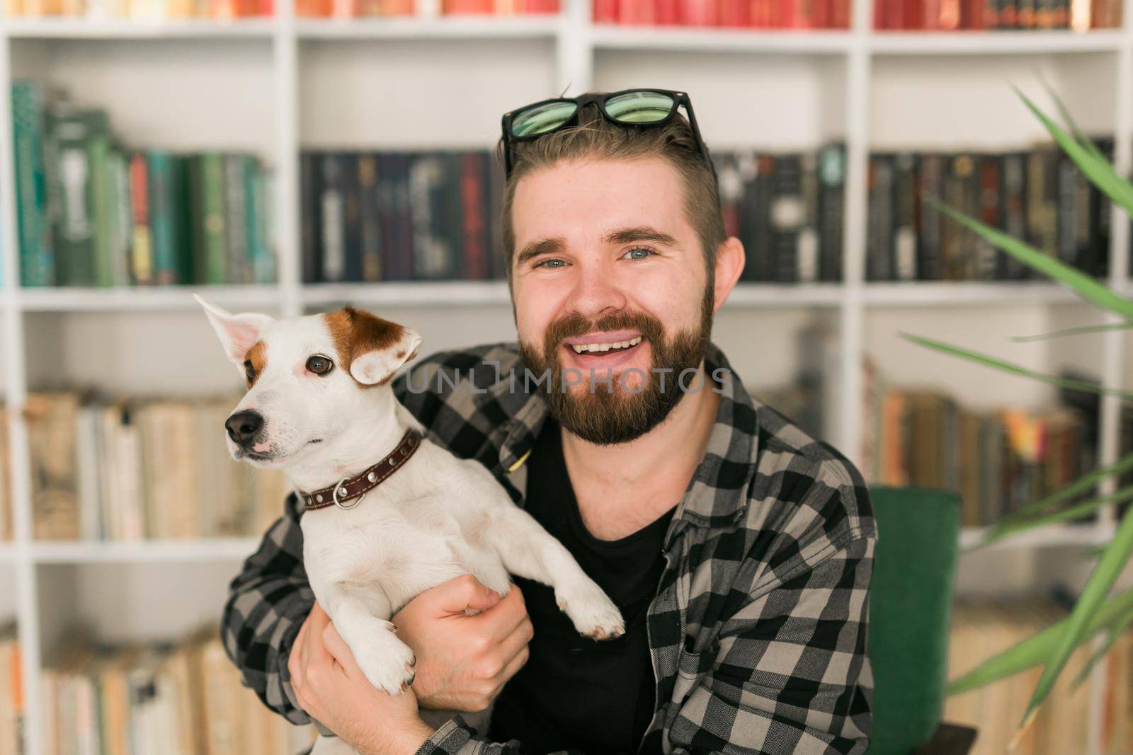 Happy male owner of jack russell terrier dog, feels responsibility of caring about pet, standing against bookshelves background. People and relationship with animals by Satura86