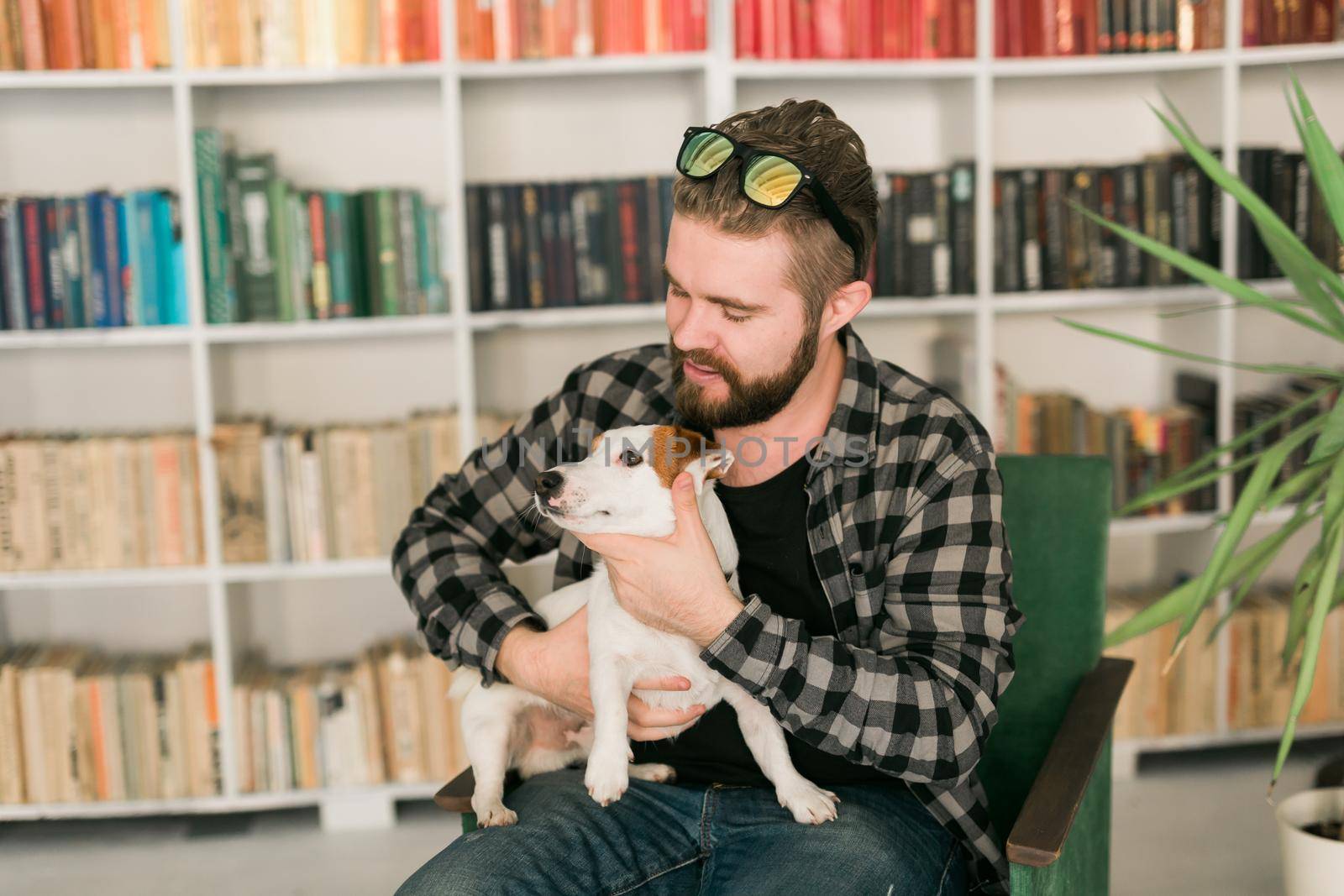 Happy male owner of jack russell terrier dog, feels responsibility of caring about pet, standing against bookshelves background. People and relationship with animals.