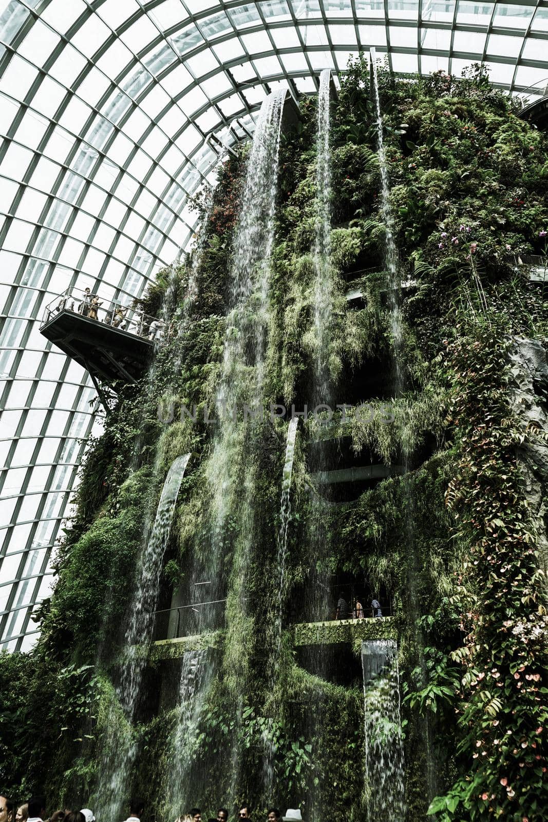 A waterfall in a jungle. Shooting Location: Singapore
