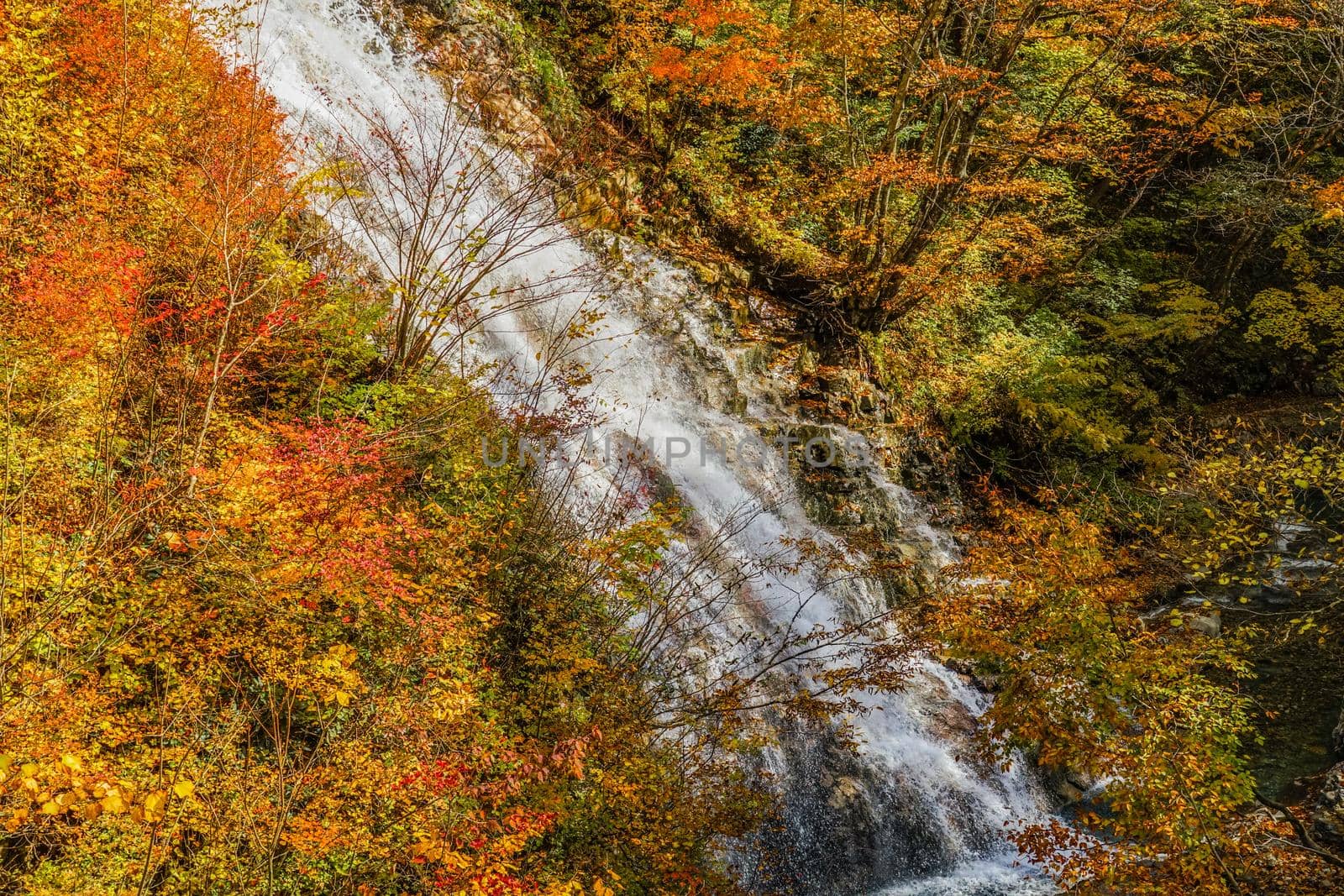 Shakunage waterfall and autumn leaves (Shimanto Lake). Shooting Location: Gunma Prefecture