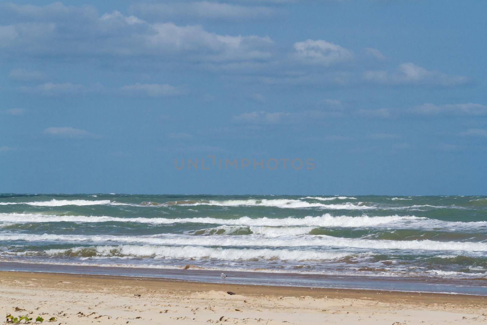 Beach of South Padre Island, TX.