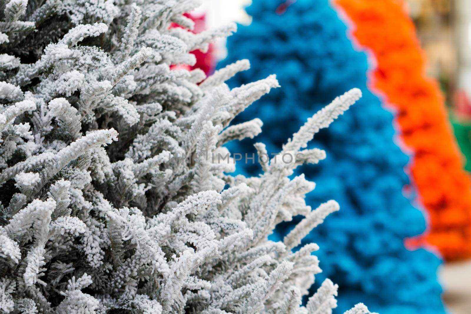 Flocked Christmas Tree with multi colors.