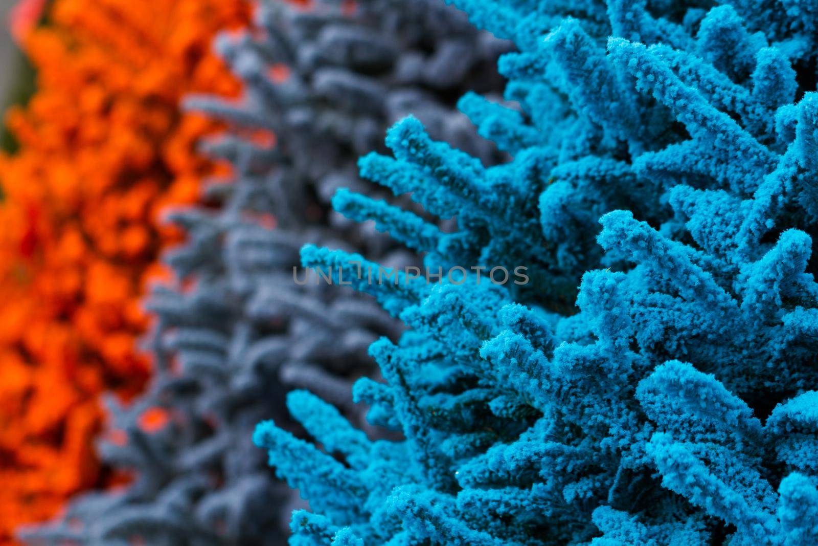 Flocked Christmas Tree with multi colors.