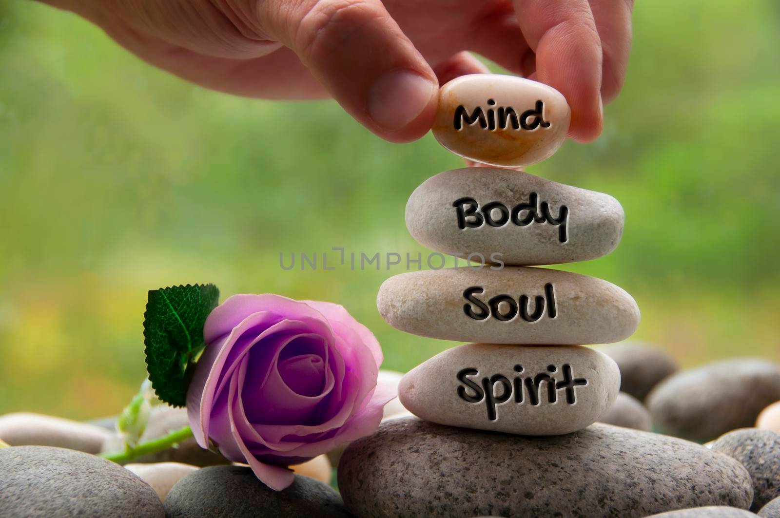 Mind, Body, Soul and Spirit words engraved on zen stones with rose flower. Copy space and zen concept by yom98