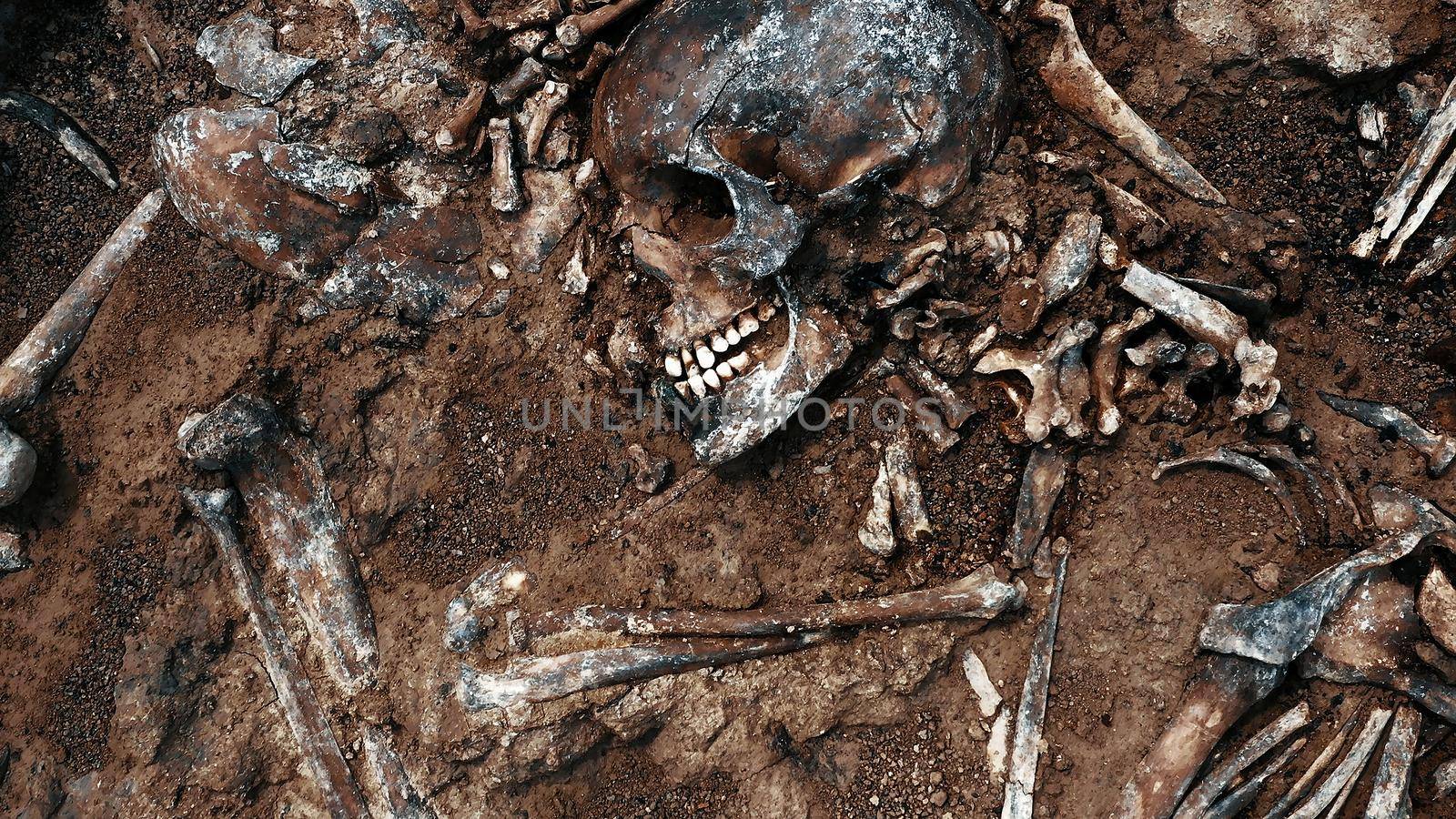 Archaeological excavations, Human remains in the ground. War crime scene. Site of a mass shooting of people. Human remains - bones of skeleton, skulls.