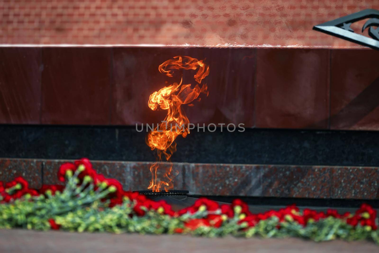 Flowers by the Eternal Flame. Eternal Flame in the Kremlin. Guard of Honor at the tomb of the Unknown Soldier at the wall of Moscow Kremlin. 11.05.2022 Moscow, Russia.