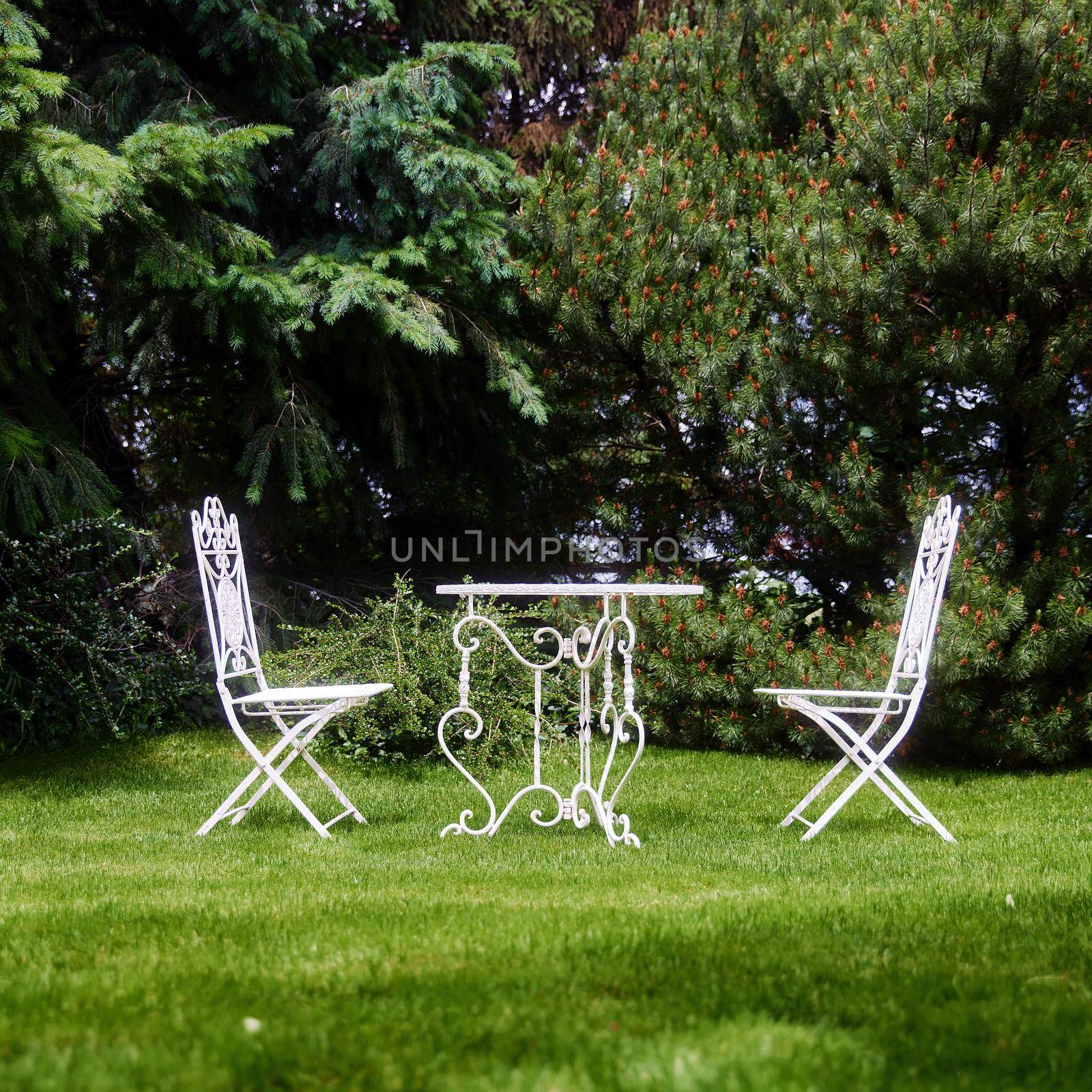 White garden furniture on the lawn. A chair and a table in the garden. Equipped backyard by EvgeniyQW