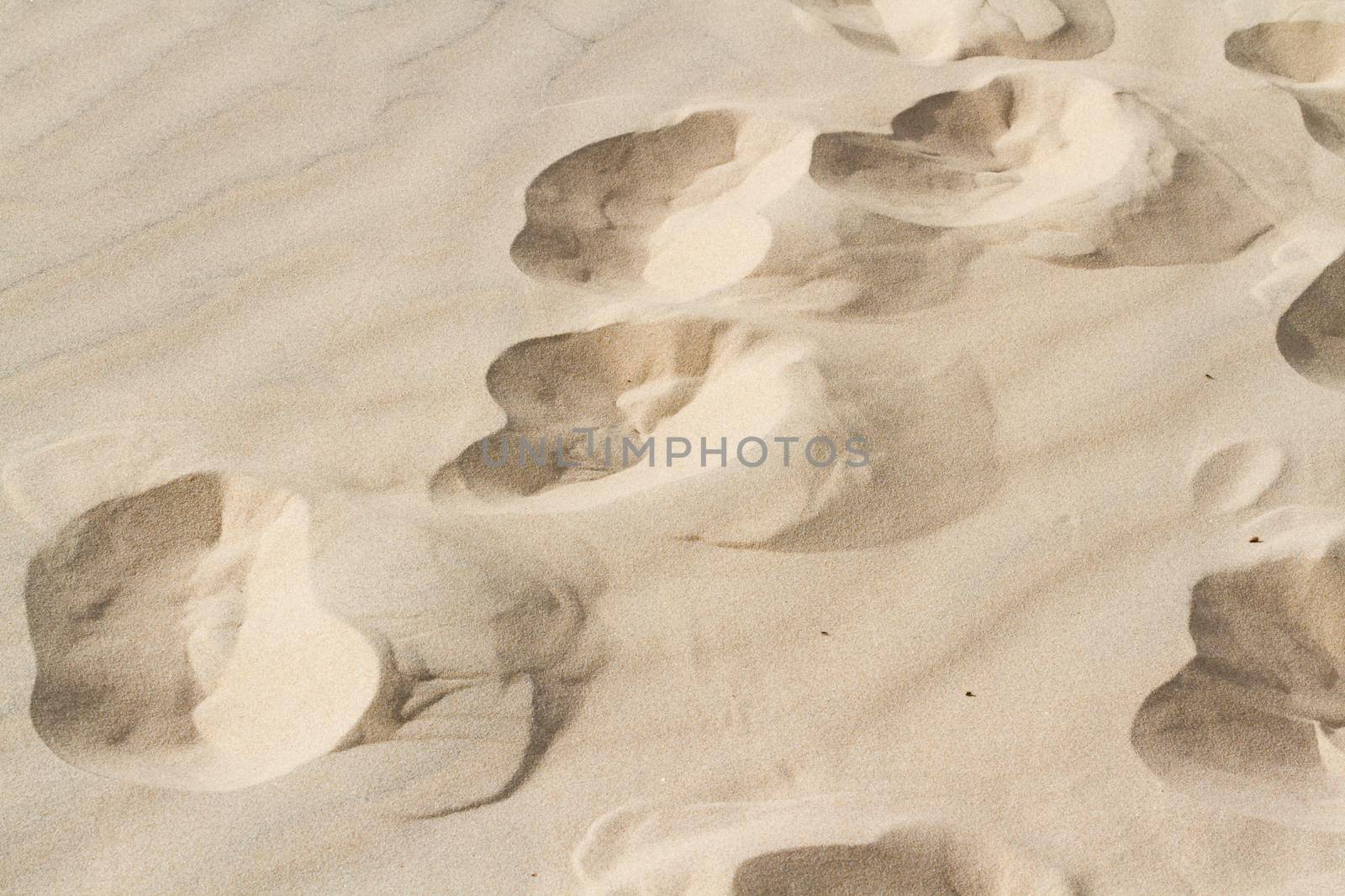 Footprints in sand of coastal dunes.