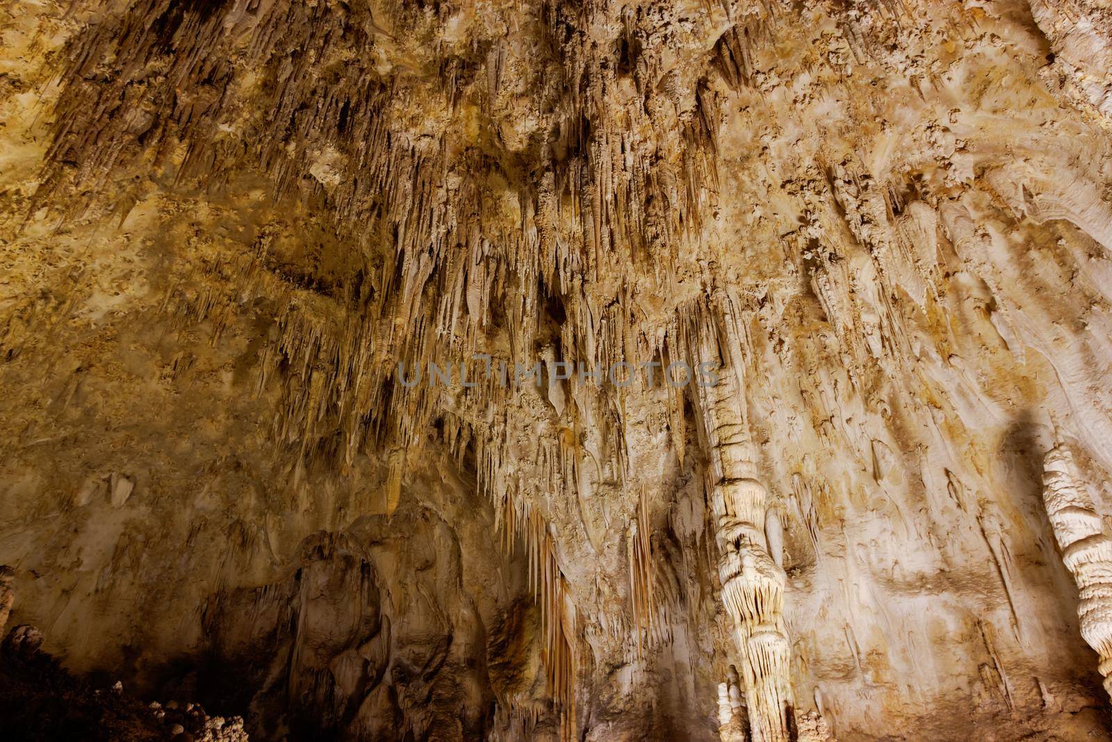 Limestones formations of Guadeloupe Mountains' Carlsbad Caverns.