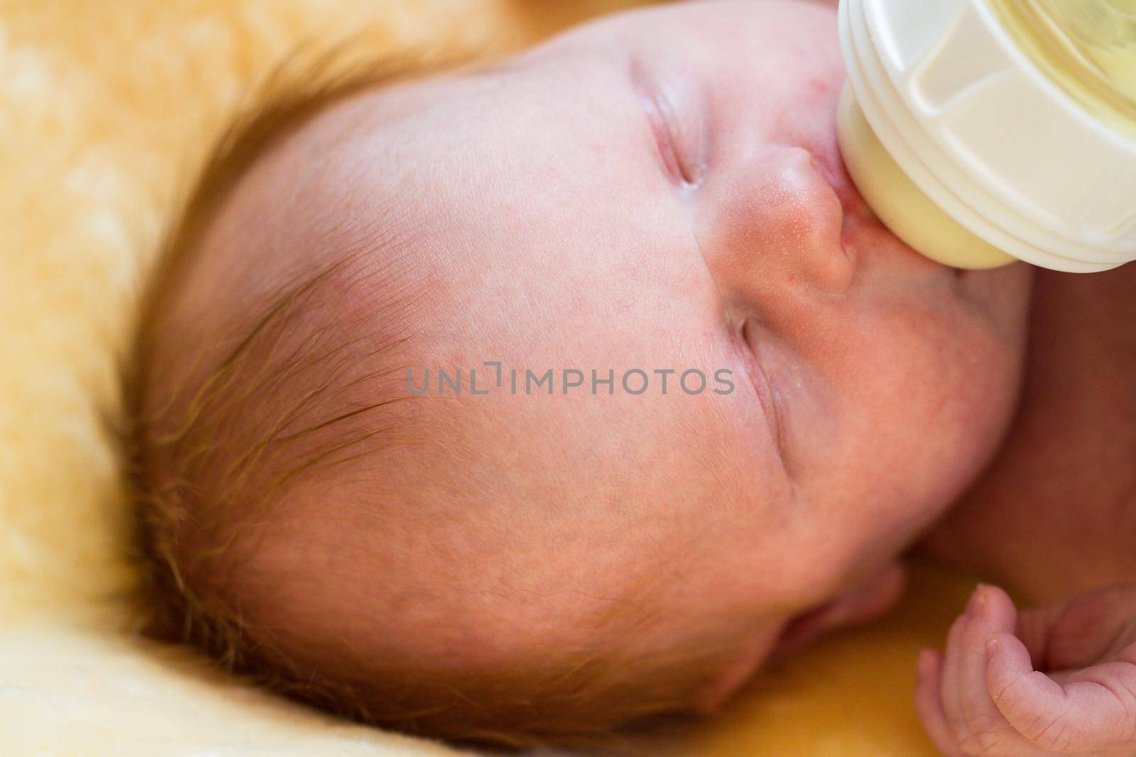 Newborn baby girl at feeding time.