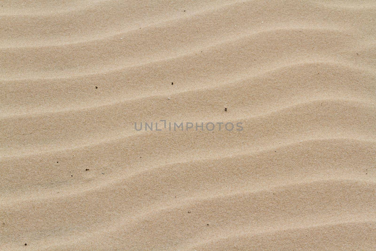 Patterns in the sand on South Padre Island, TX.
