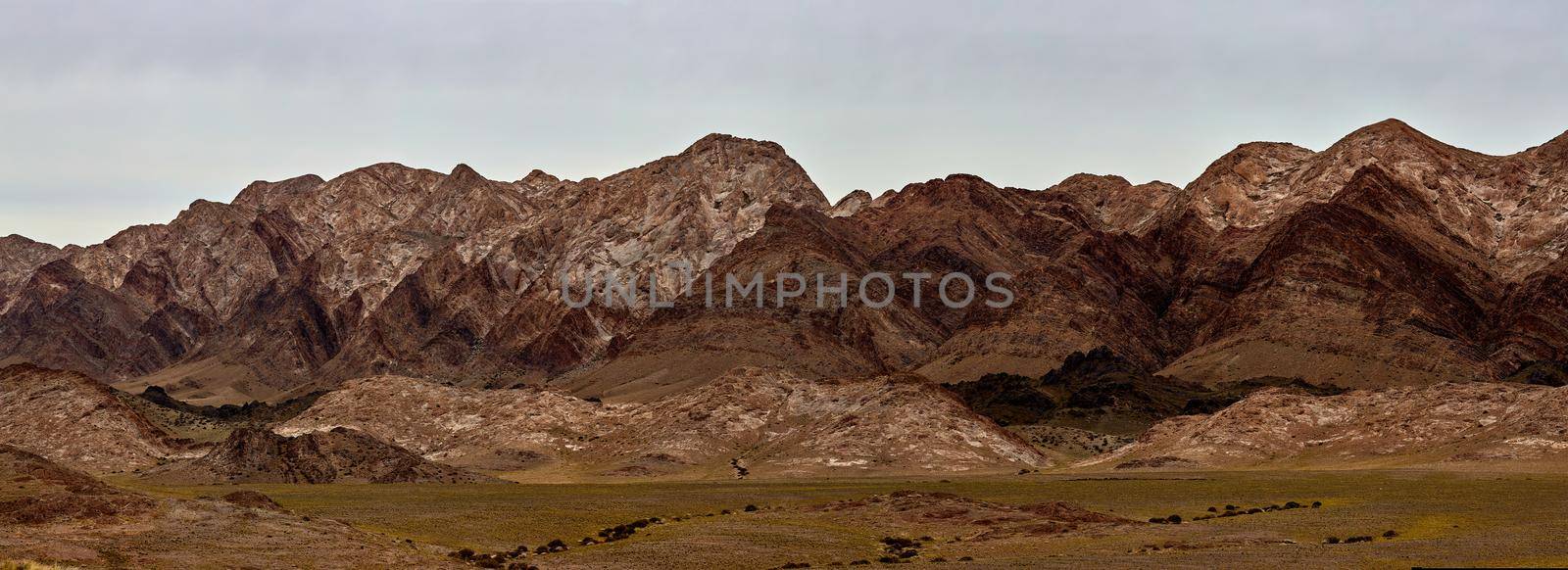 Pasture in the mountains of Mongolia. Landscapes of Mongolia, panorama of mountains in the Gobi desert. by EvgeniyQW