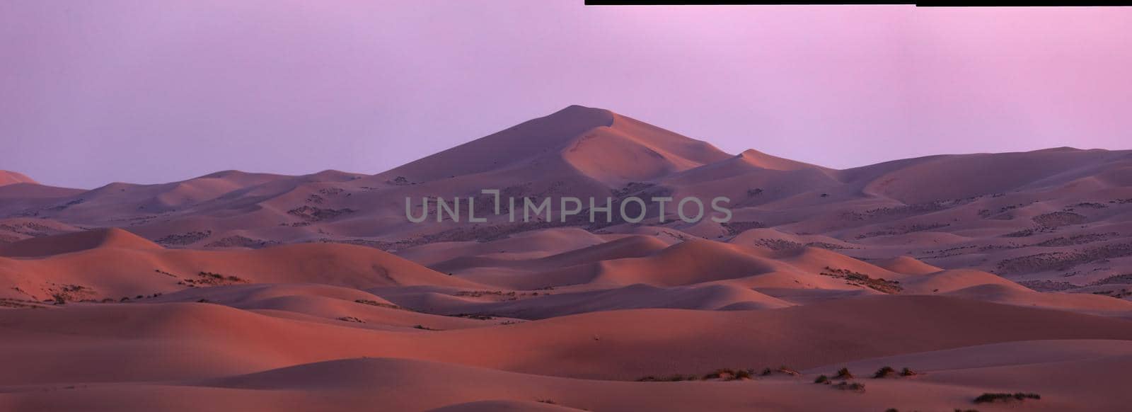 Beautiful Sand dunes in the Gobi desert, Mongolia. View of the beautiful sand dunes.