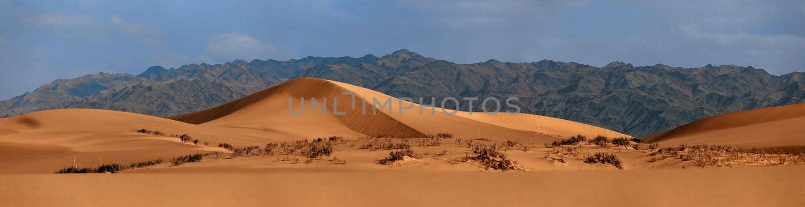 Beautiful Sand dunes in the Gobi desert, Mongolia. View of the beautiful sand dunes.