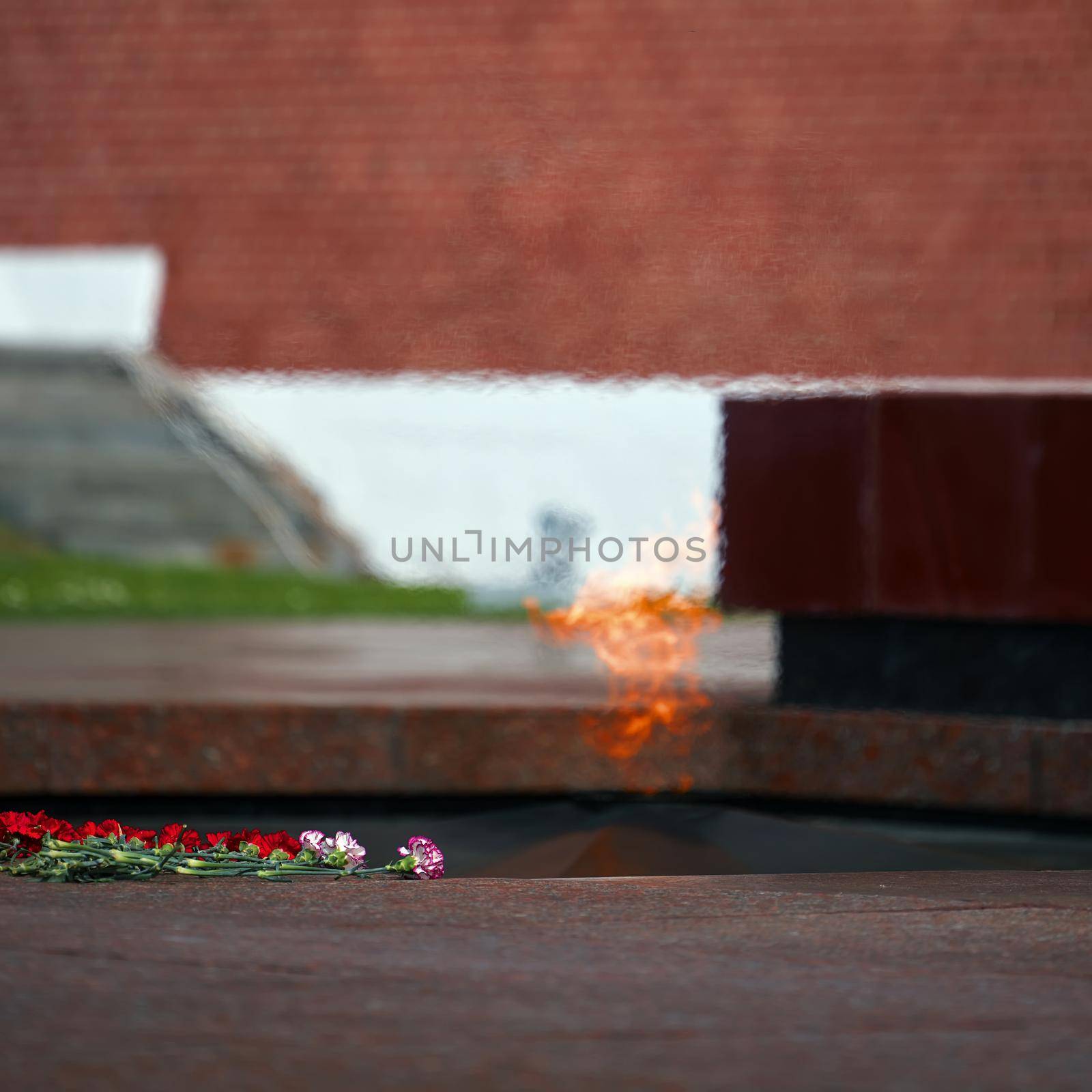 Flowers by the Eternal Flame. Eternal Flame in the Kremlin. Guard of Honor at the tomb of the Unknown Soldier at the wall of Moscow Kremlin. 11.05.2022 Moscow, Russia by EvgeniyQW