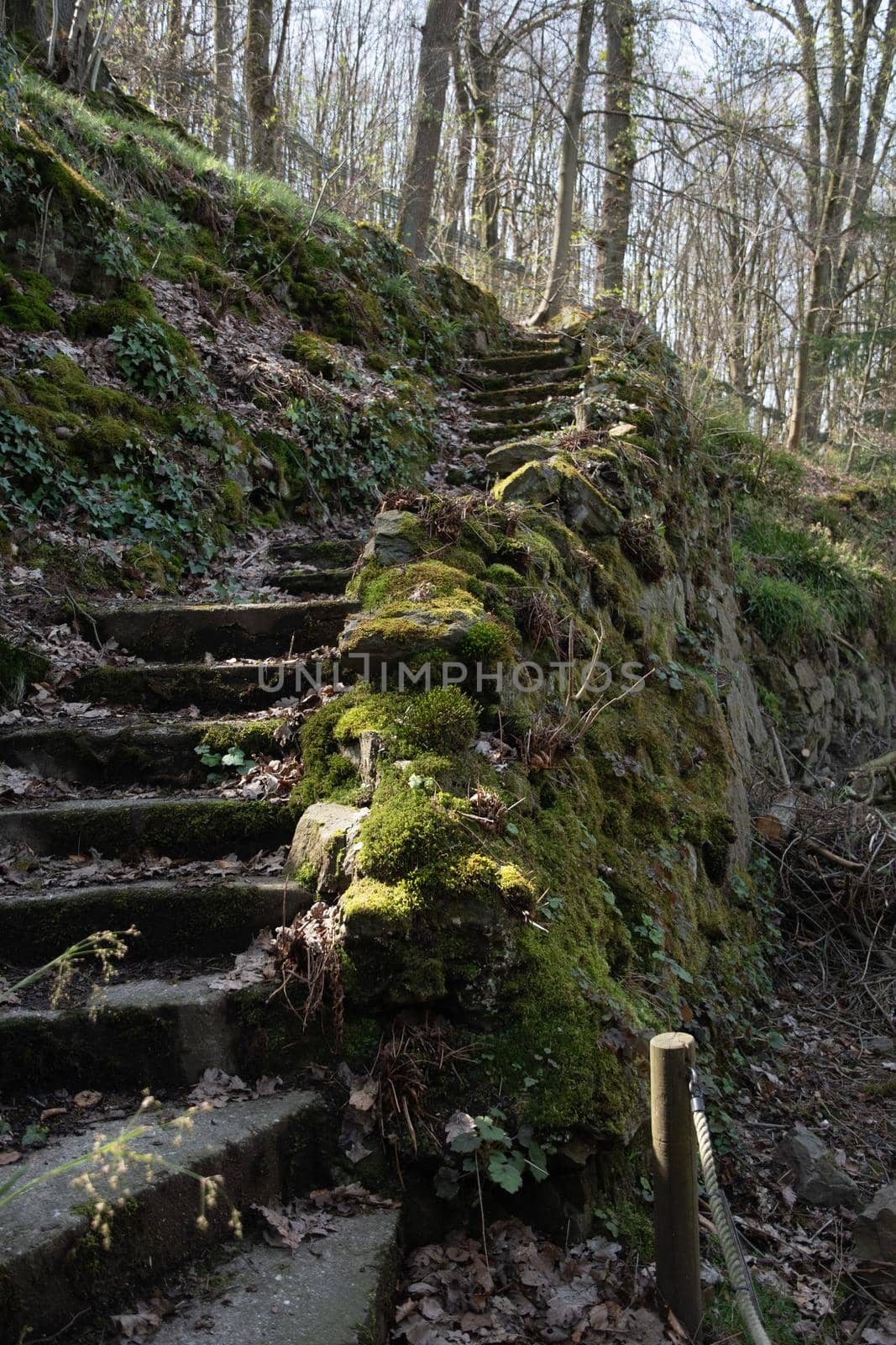 Background of stone stairs and a granite wall covered with green moss. High quality photo