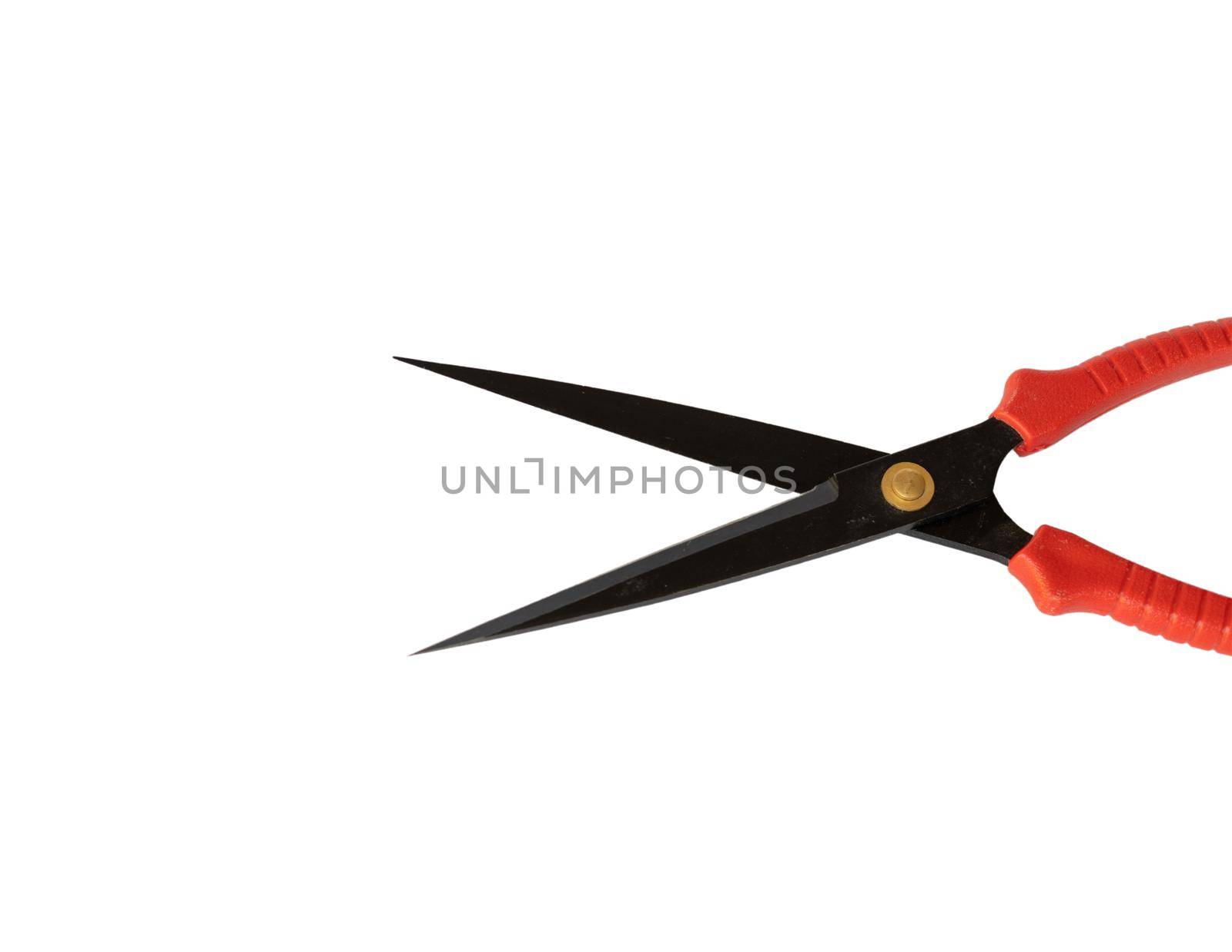 Gardening pruning shears on a white isolated background