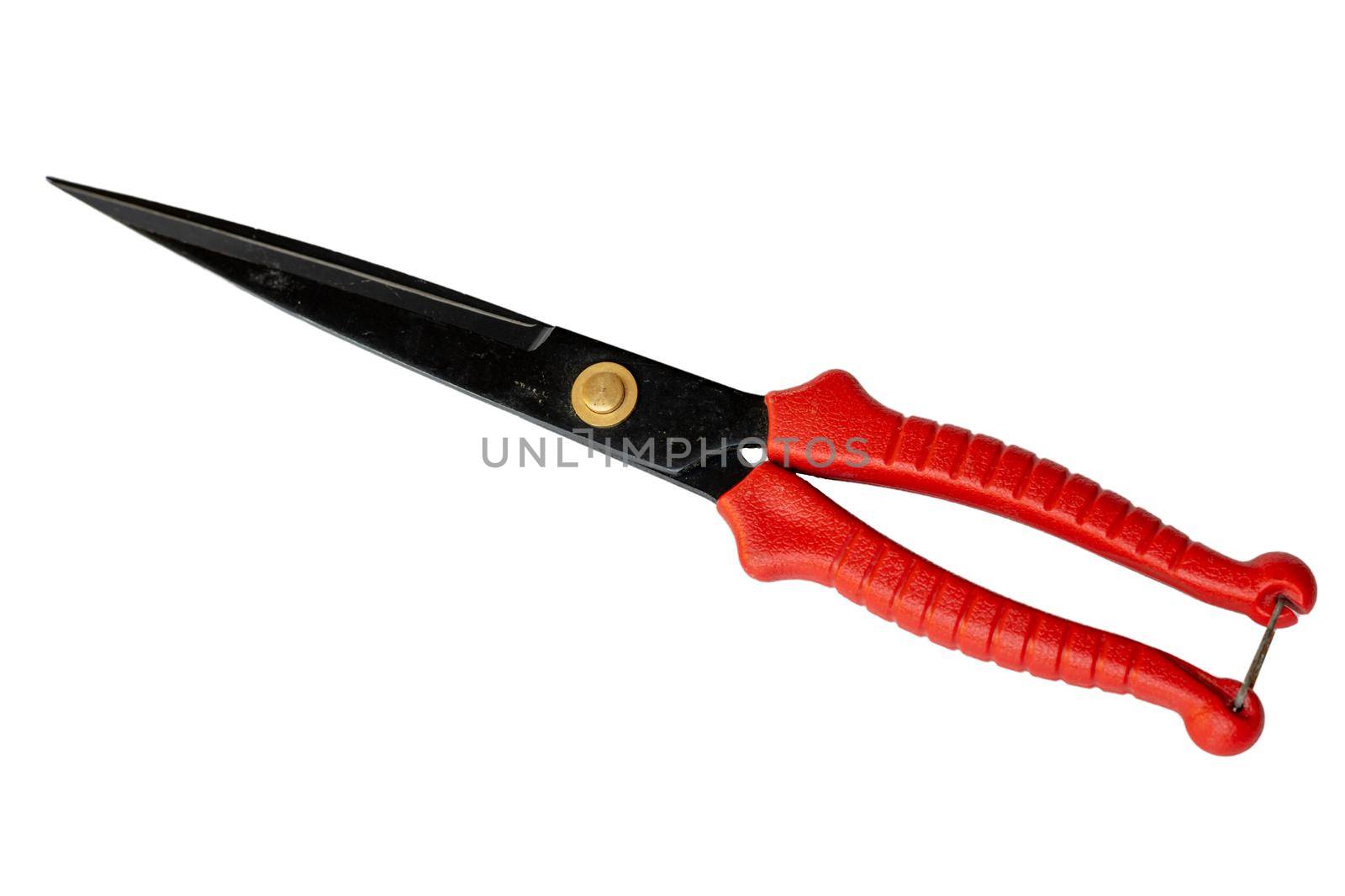 Sharp pruning tool with red plastic handles on white isolated background by Bilalphotos