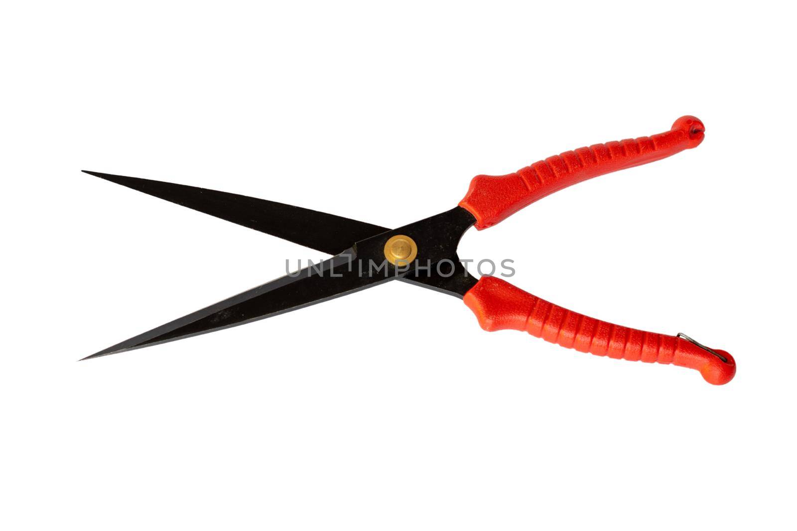 Gardening scissor on a white isolated background