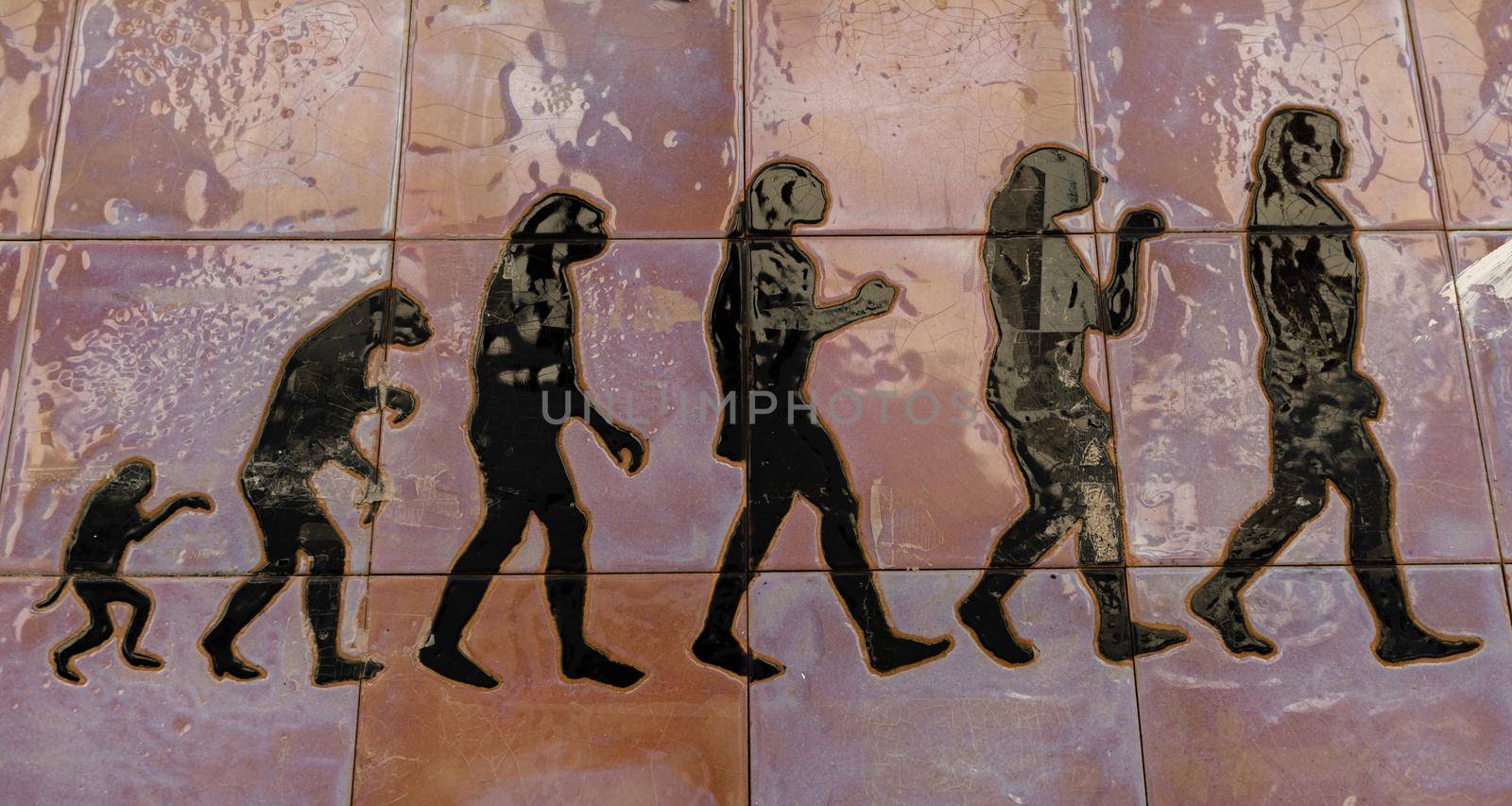 human evolution street art