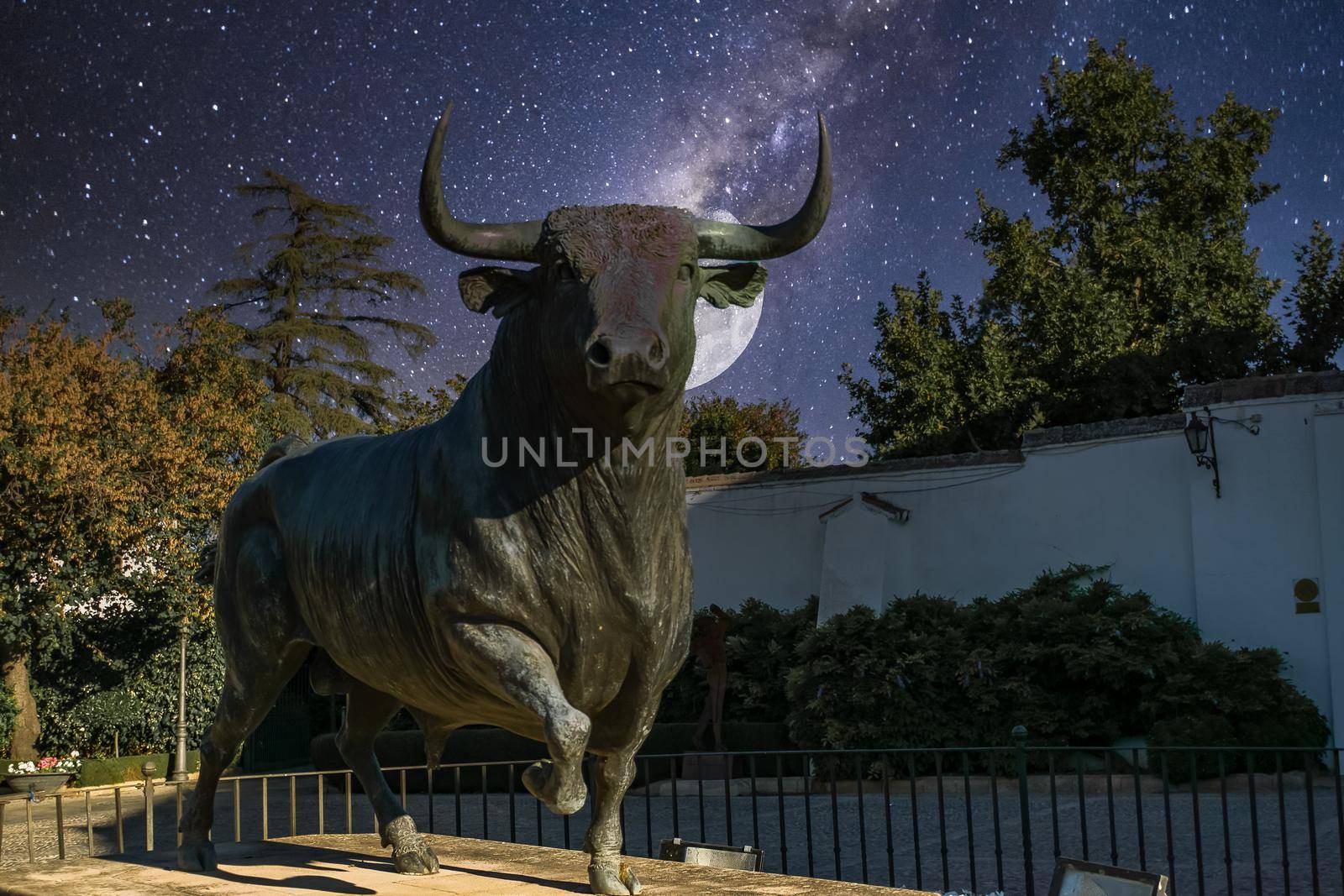 bronze sculpture of a fighting bull in the bullring of ronda malaga with stars and full moon