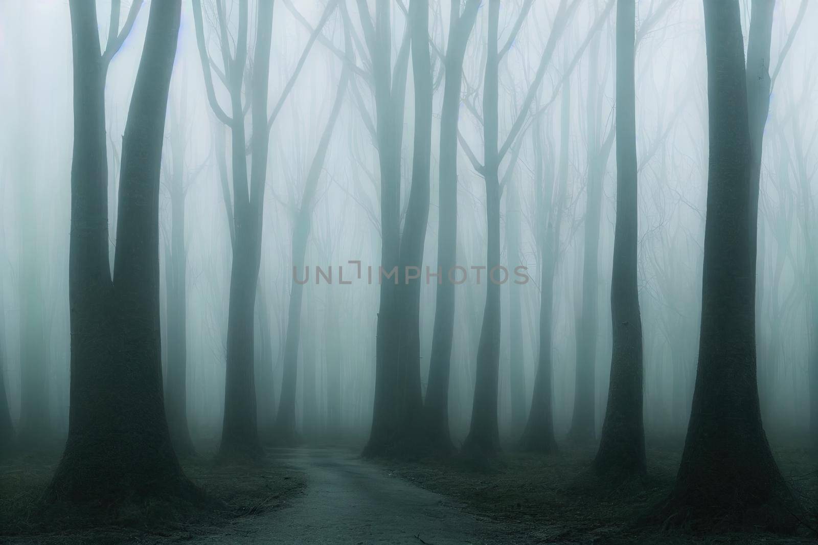 Panorama of foggy forest. Fairy tale spooky looking woods by 2ragon