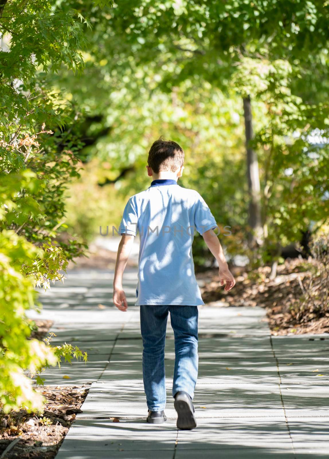 Blond teenage boy casual clothing walking relaxed along alley with trees and shadows. Bushes as blurred background. Copy space