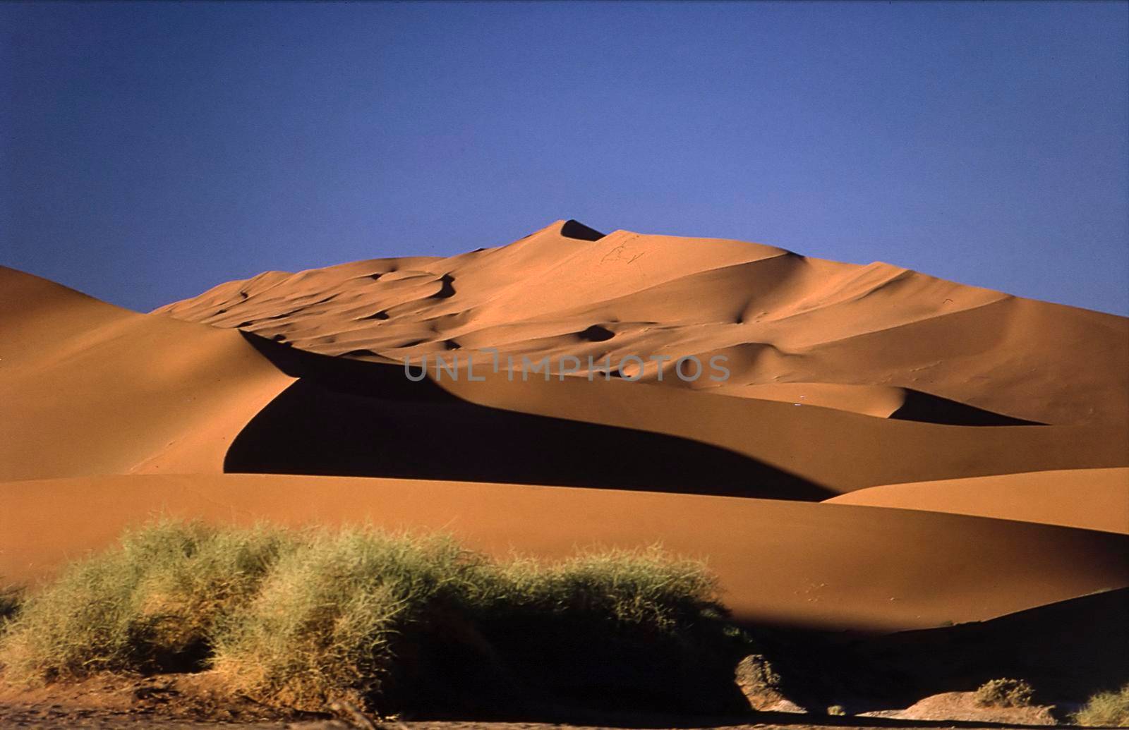 Dunes of Namib Desert, Namibia, Africa