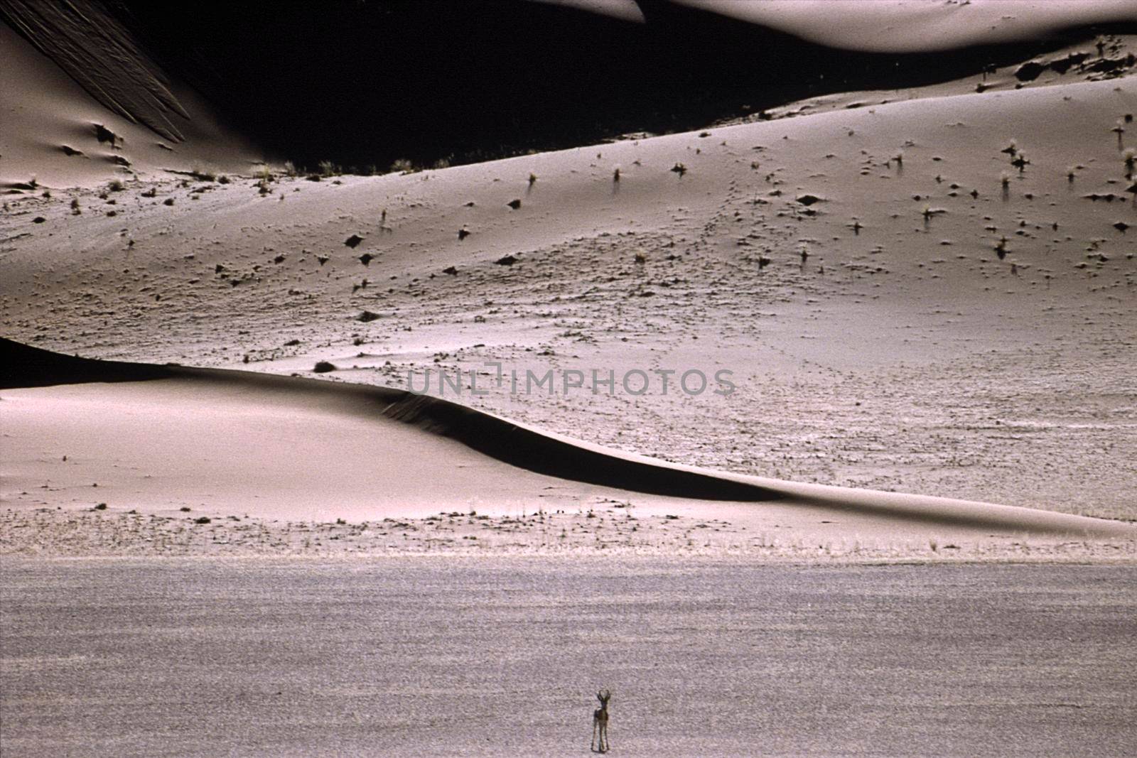 Dunes of Namib Desert, Namibia, Africa
