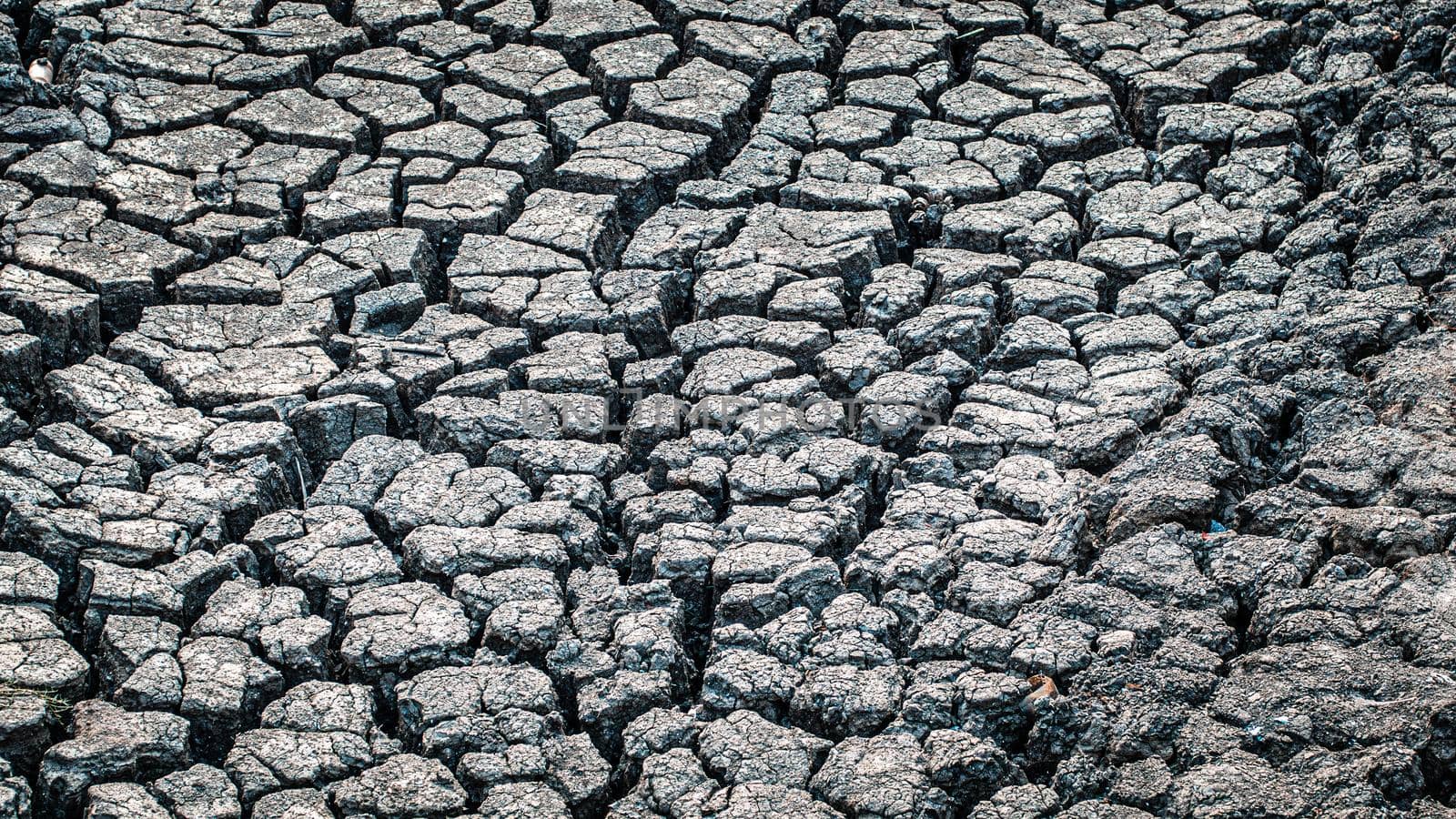 Texture cracked, dry the surface of the earth. global shortage of water on the planet. Global warming and greenhouse effect concept. by Petrichor