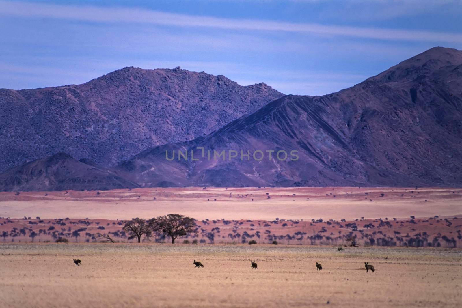 panoramic view of the namib naukluft park, Hardap, Namibia, Africa