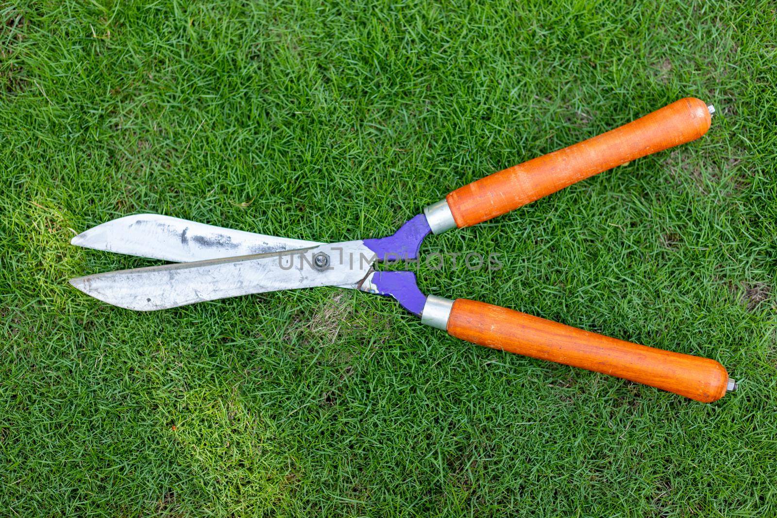 Hedge pruning shears with a grass in background