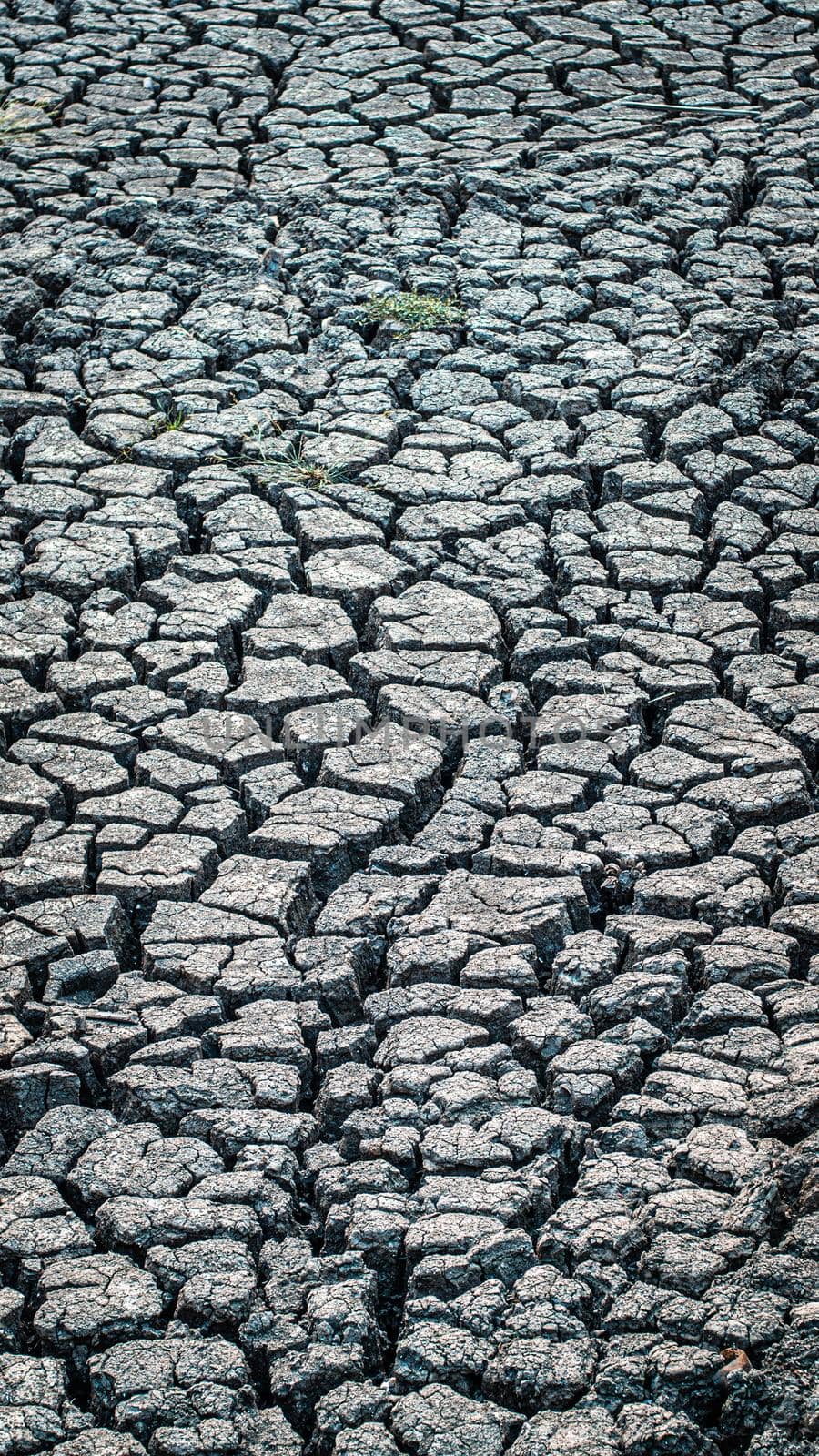 Texture cracked, dry the surface of the earth. global shortage of water on the planet. Global warming and greenhouse effect concept.