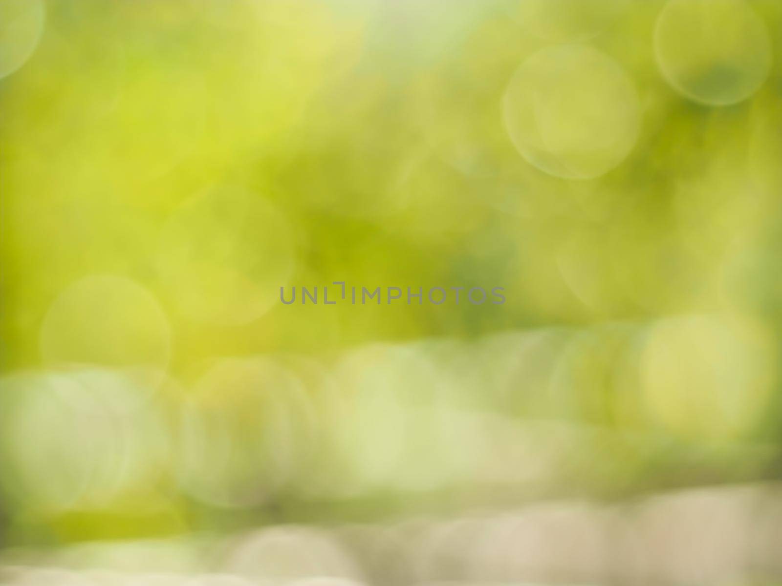 Green abstract blur bokeh on nature defocus nature art background by Petrichor