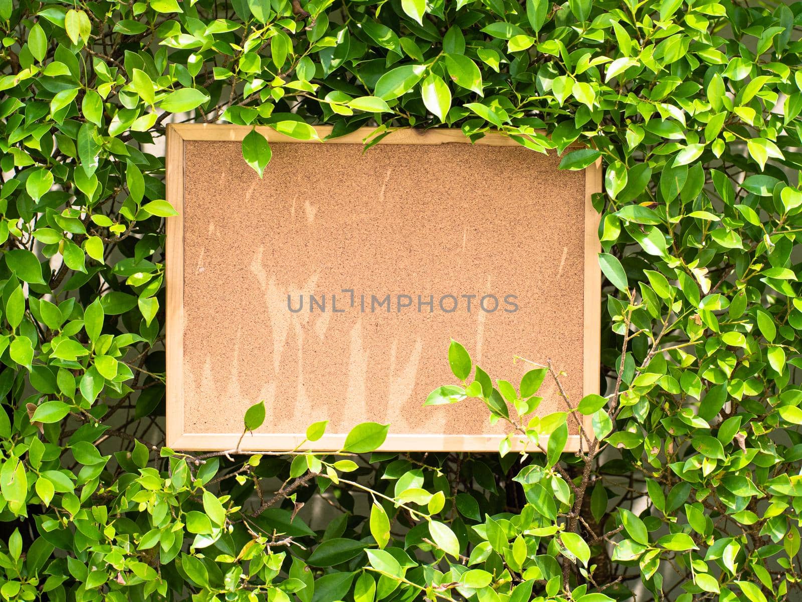 blank cork message pin board mock up object for communication.