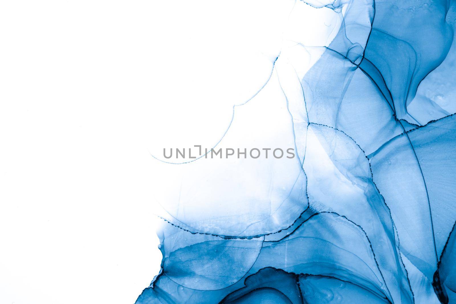 Marble ink abstract art from exquisite original painting for abstract background . Painting was painted on high quality paper texture to create smooth marble background pattern of ombre alcohol ink .