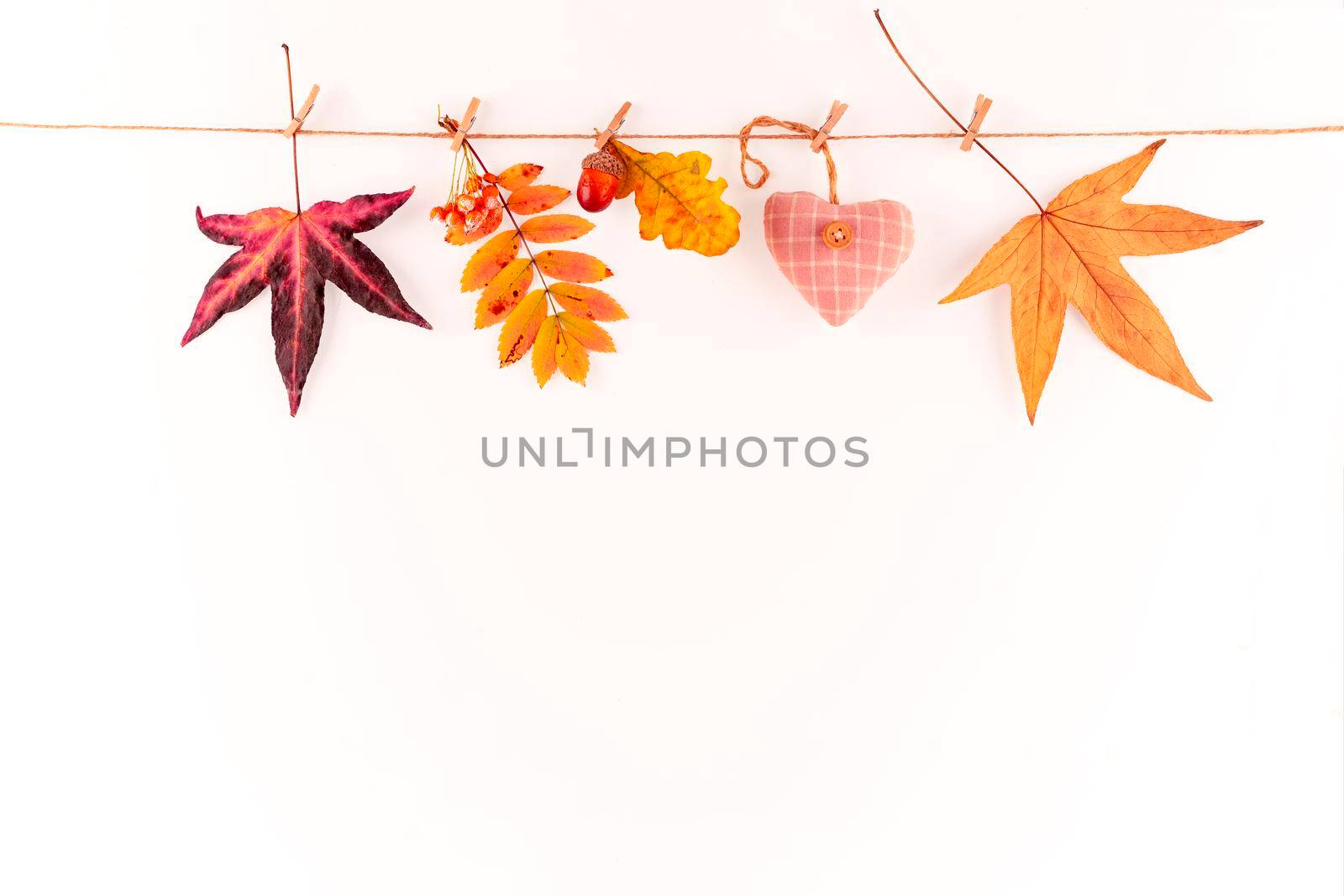 Autumn composition. Autumn leaves, berry, heart, acorn on white background. Copy space. by Iryna_Melnyk