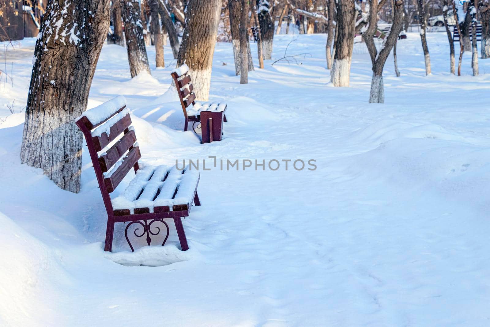 empty park in winter. empty benches covered with white snow among trees without leaves by Leoschka