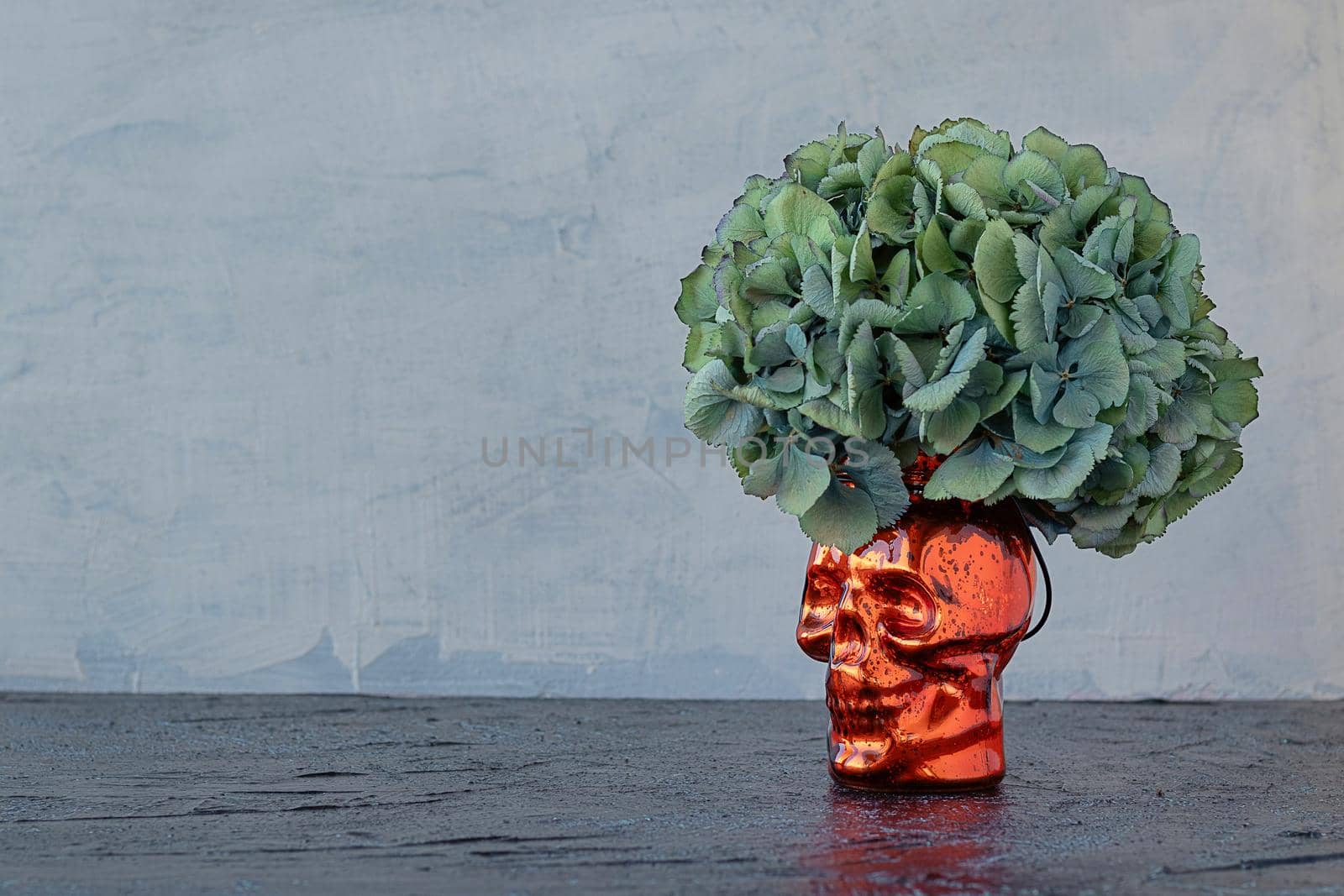 vase in the form of a skull with hydrangea instead of hair. background for halloween. by Leoschka