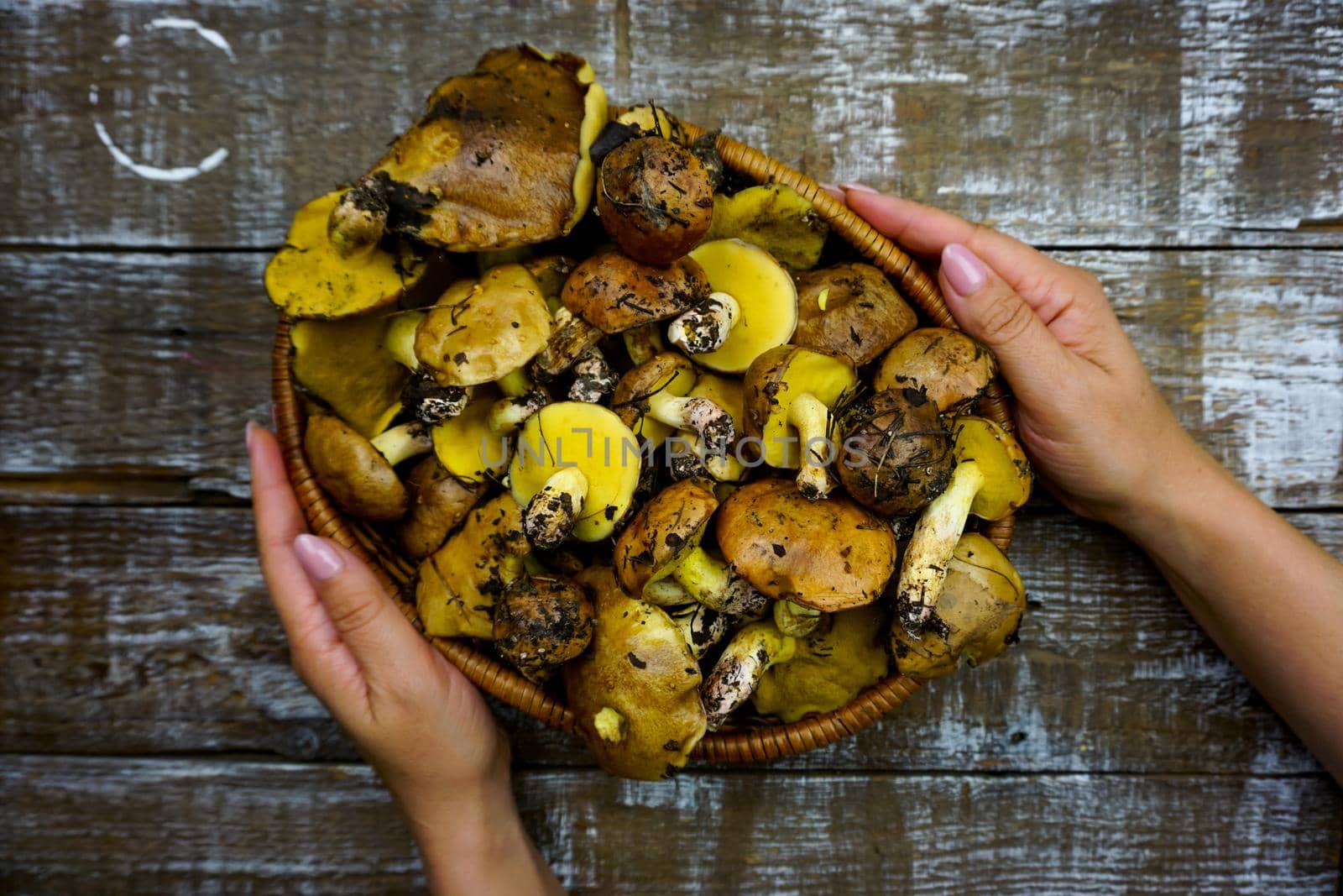 Women's hands hold a basket with freshly picked mushrooms by Spirina