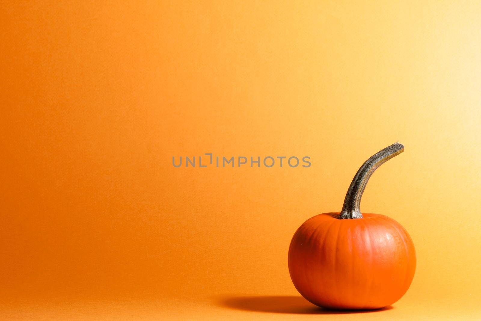Whole pumpkin on orange background by Yellowj