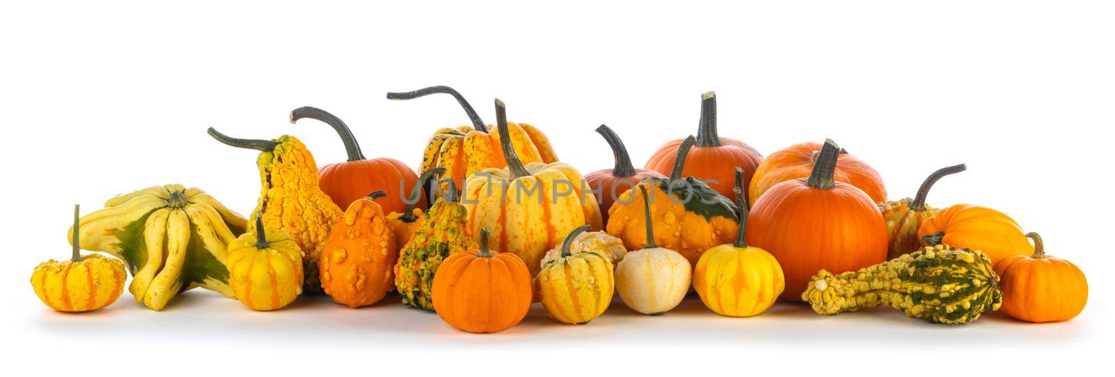 Many various pumpkins in a row isolated on white background, Halloween or Thanksgiving day concept