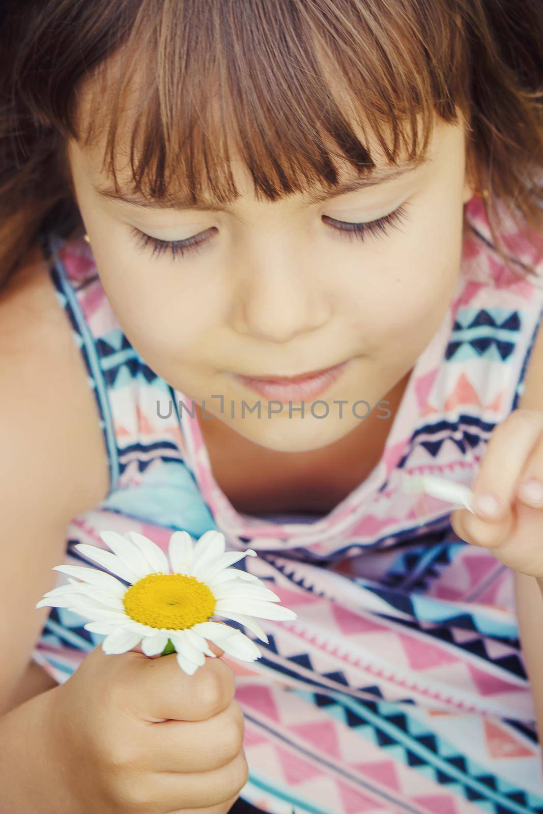 Girl with chamomile. Selective focus. nature flowers. by yanadjana