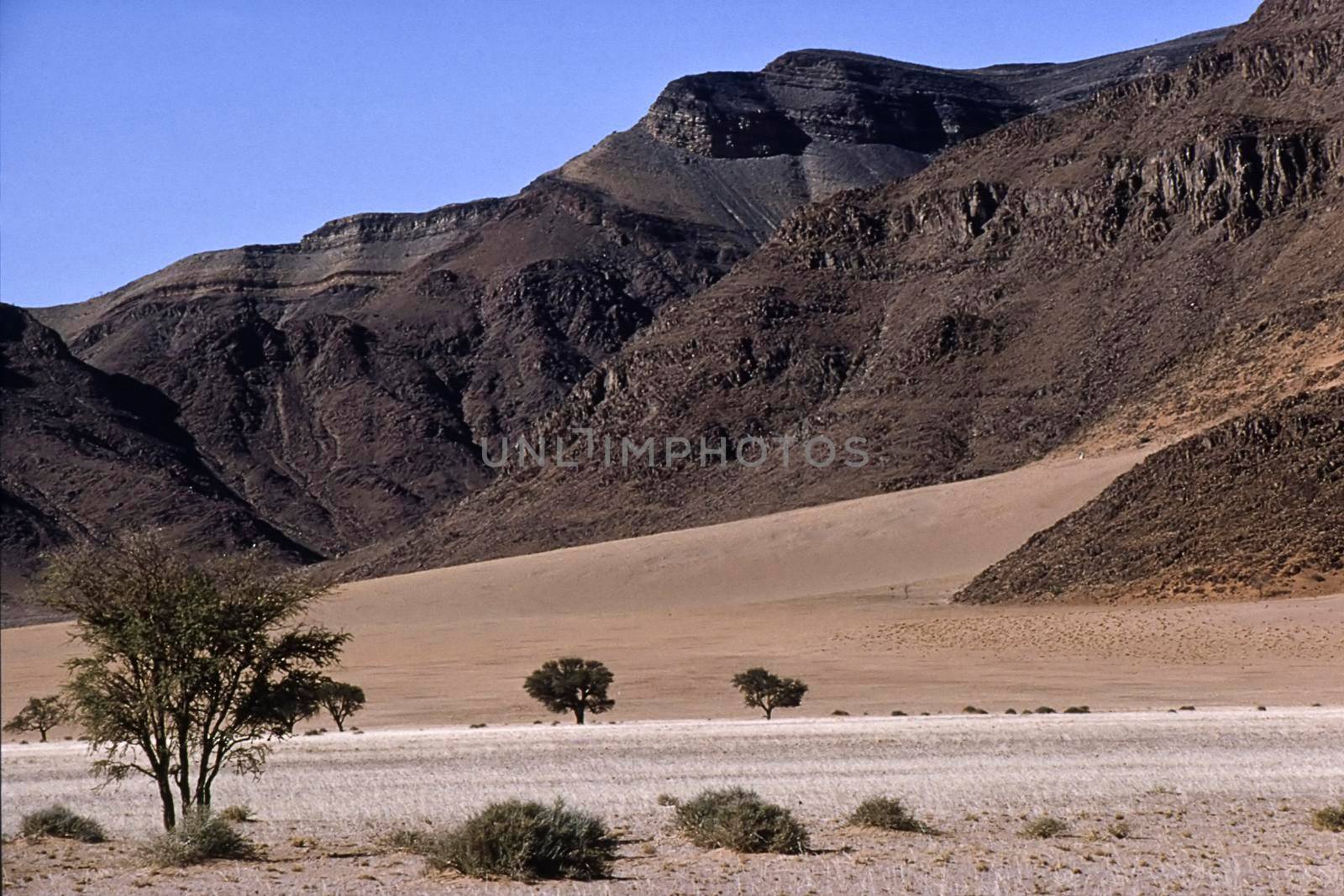 panoramic view of the namib naukluft park, Hardap, Namibia, Africa